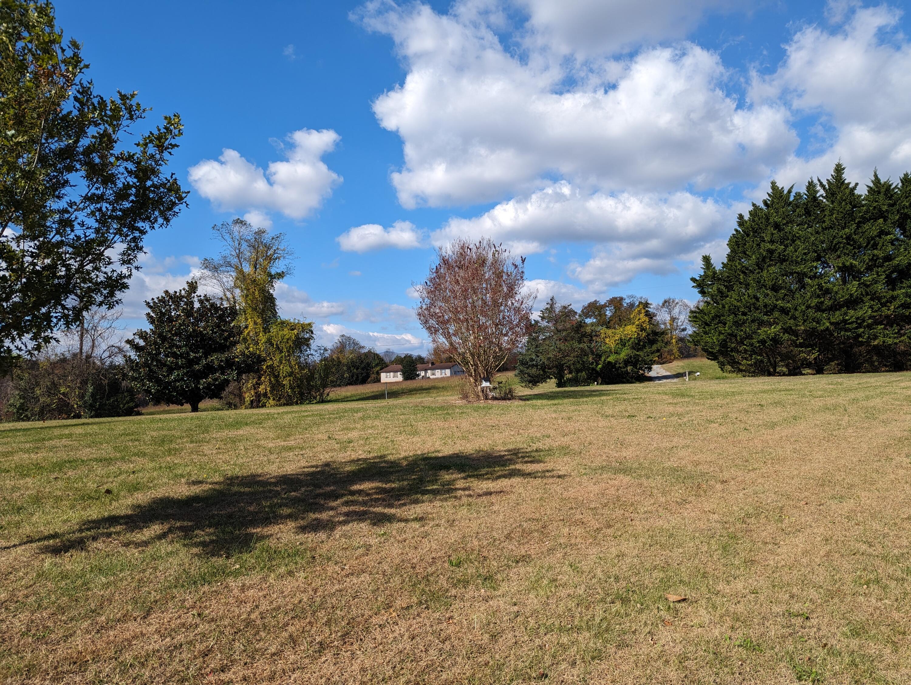 80 Bonbrook Road Wirtz, VA 24184 - Photo 20 of 53 a view of a field with an trees