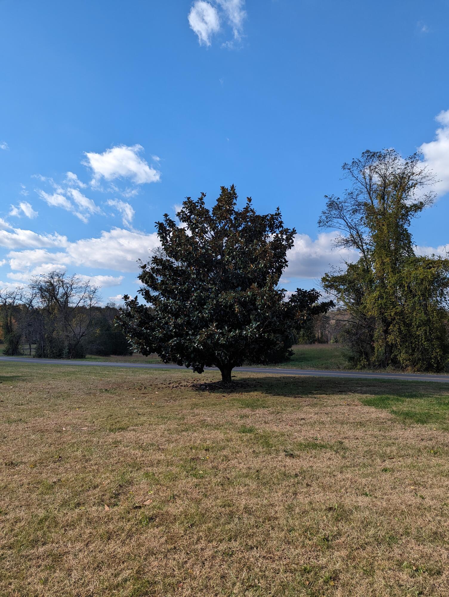 80 Bonbrook Road Wirtz, VA 24184 - Photo 23 of 53 a view of outdoor space with yard