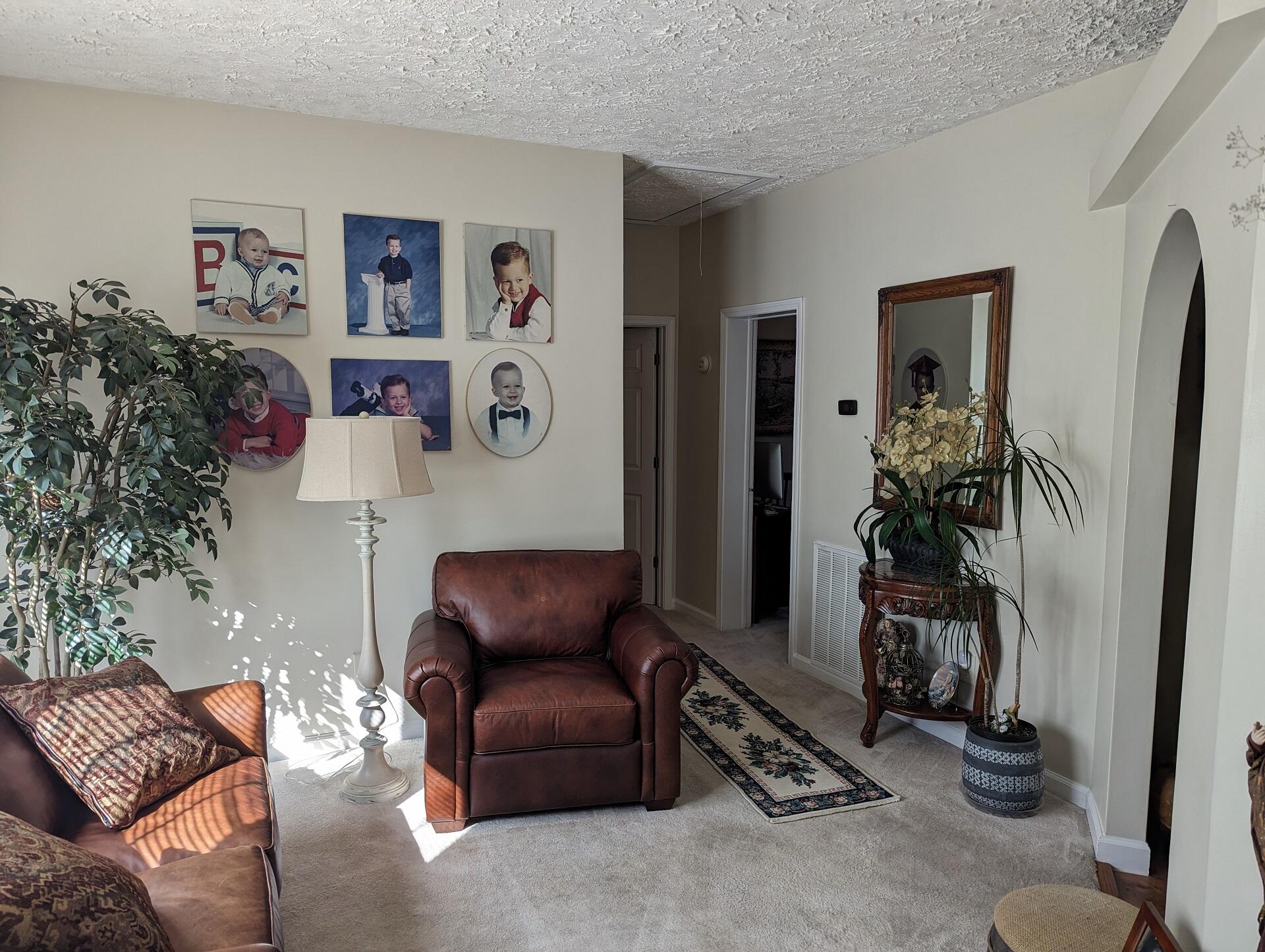 80 Bonbrook Road Wirtz, VA 24184 - Photo 34 of 53 a living room with furniture and a potted plant