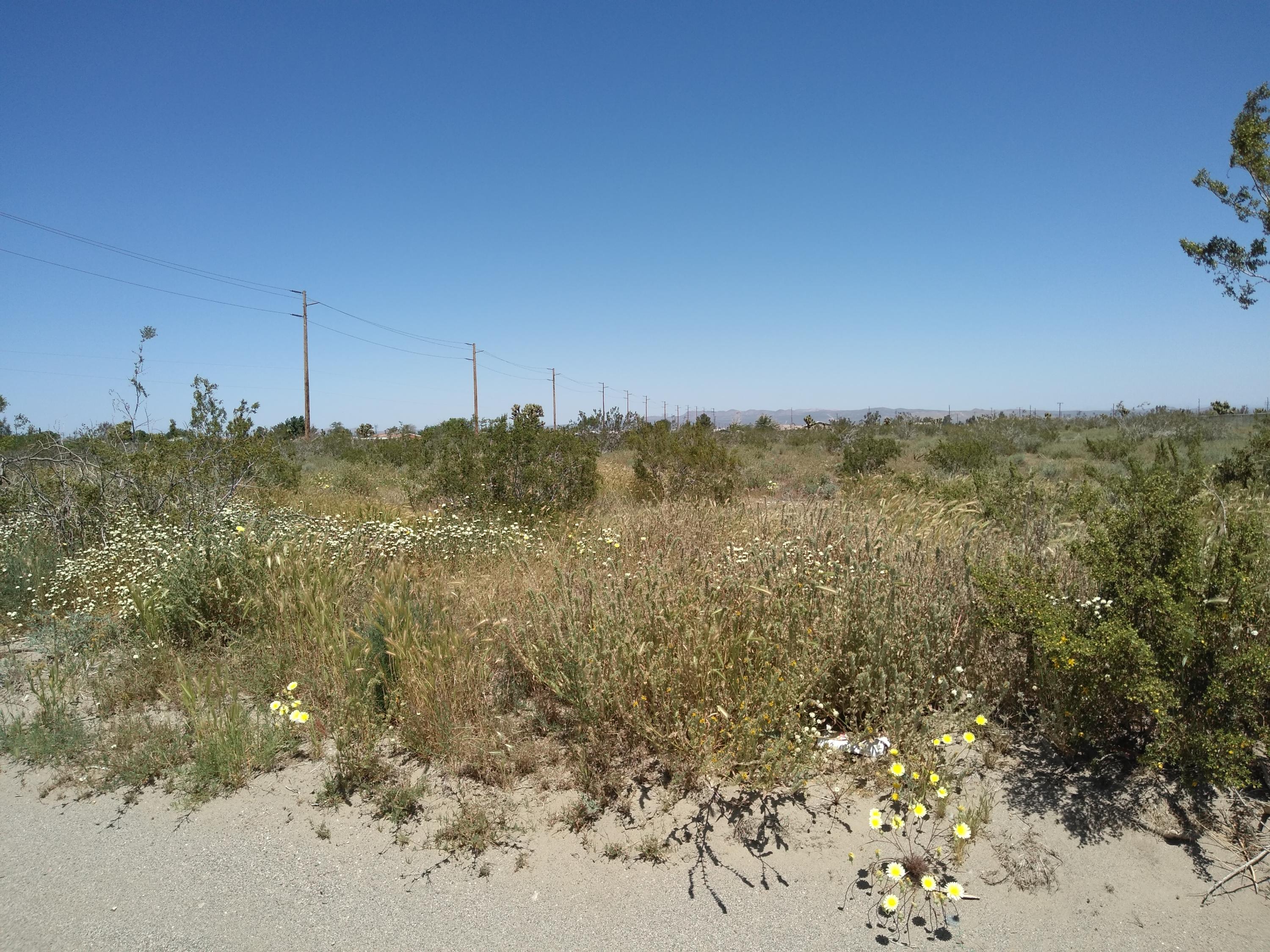 13725 Johnson Road Phelan, CA 92371 - Photo 4 of 9 a view of a field with an ocean