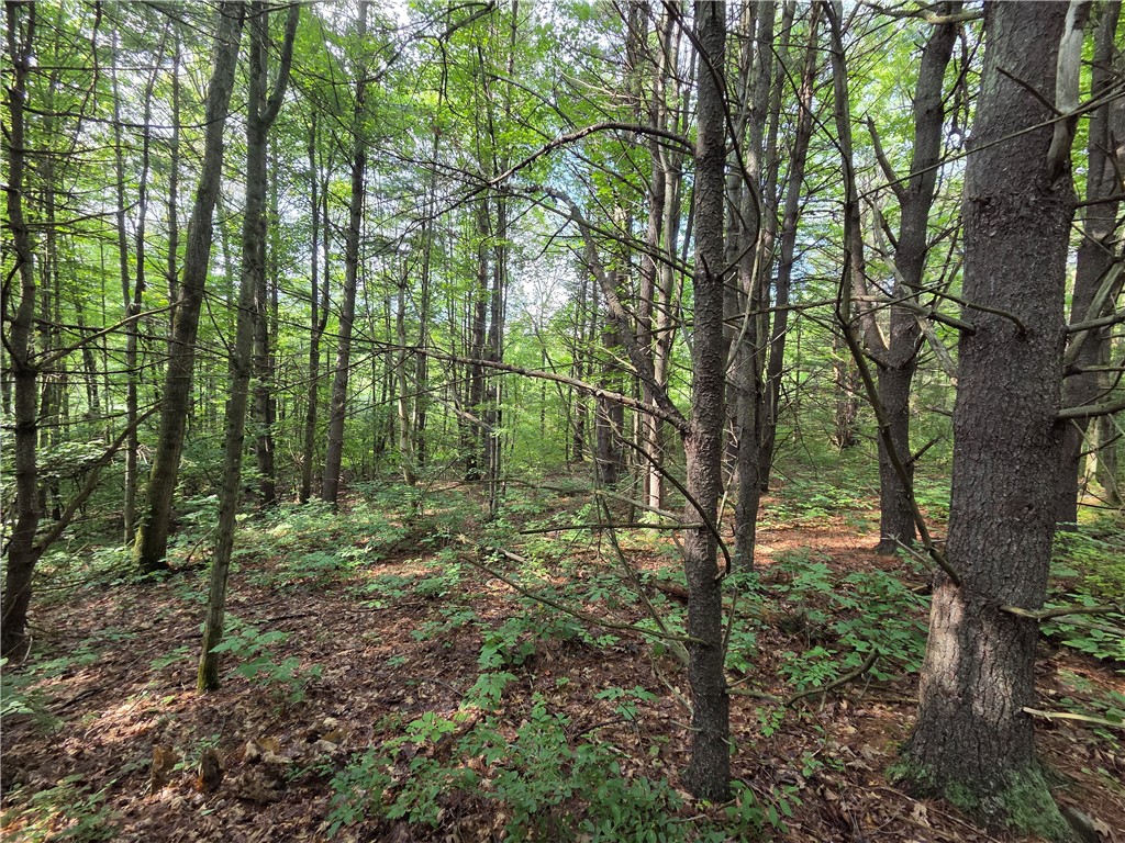 Bunnell Road Waverly, NY 14892 - Photo 45 of 49 Gallery Image 45