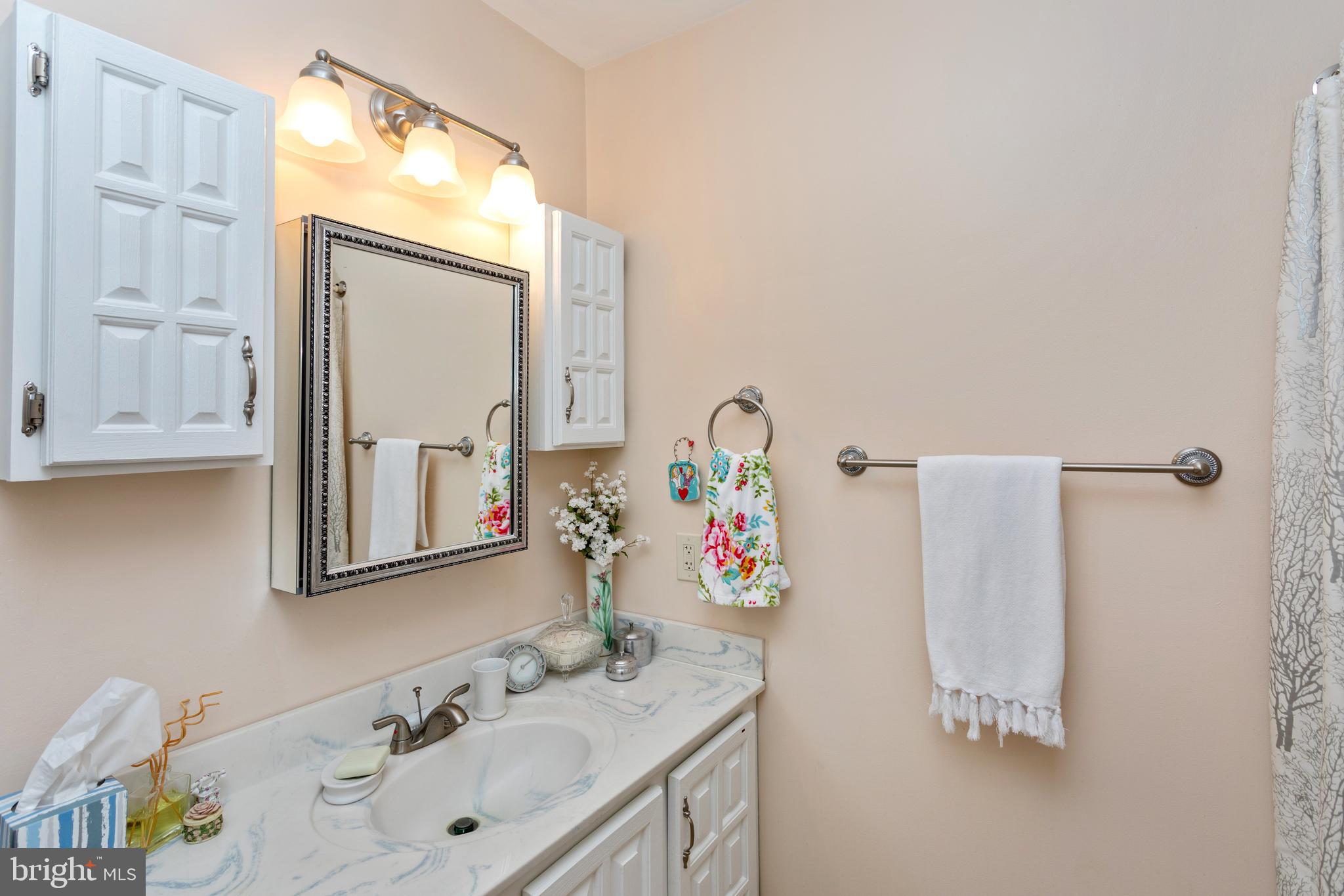 10344 White Shop Road Culpeper, VA 22701 - Photo 22 of 36 Master Bathroom