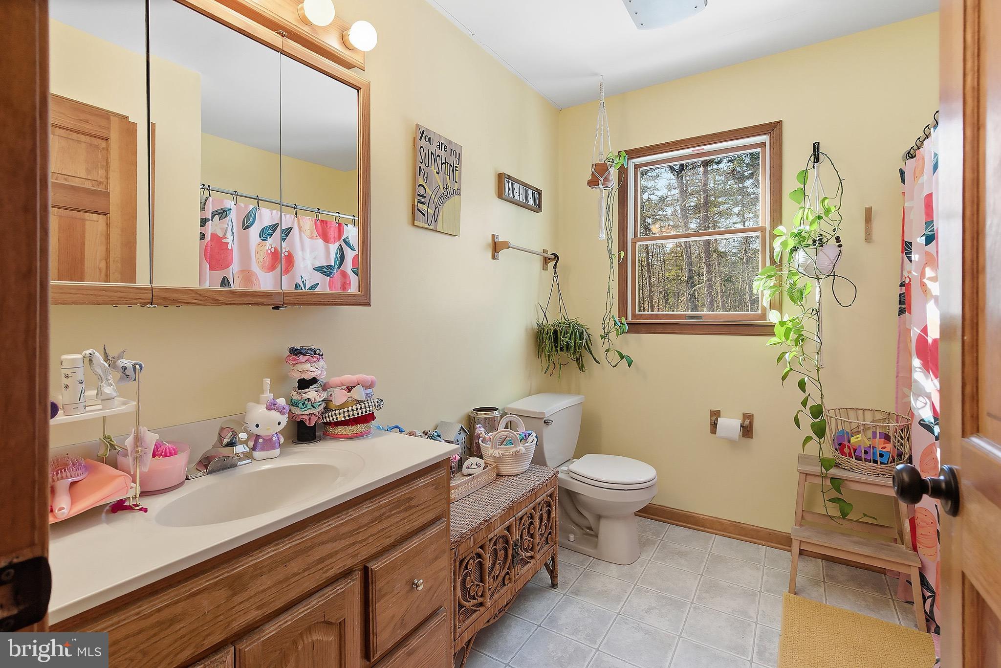 128 Highway 72 Vincentown, NJ 08088 - Photo 20 of 32 a bathroom with a sink mirror and toilet