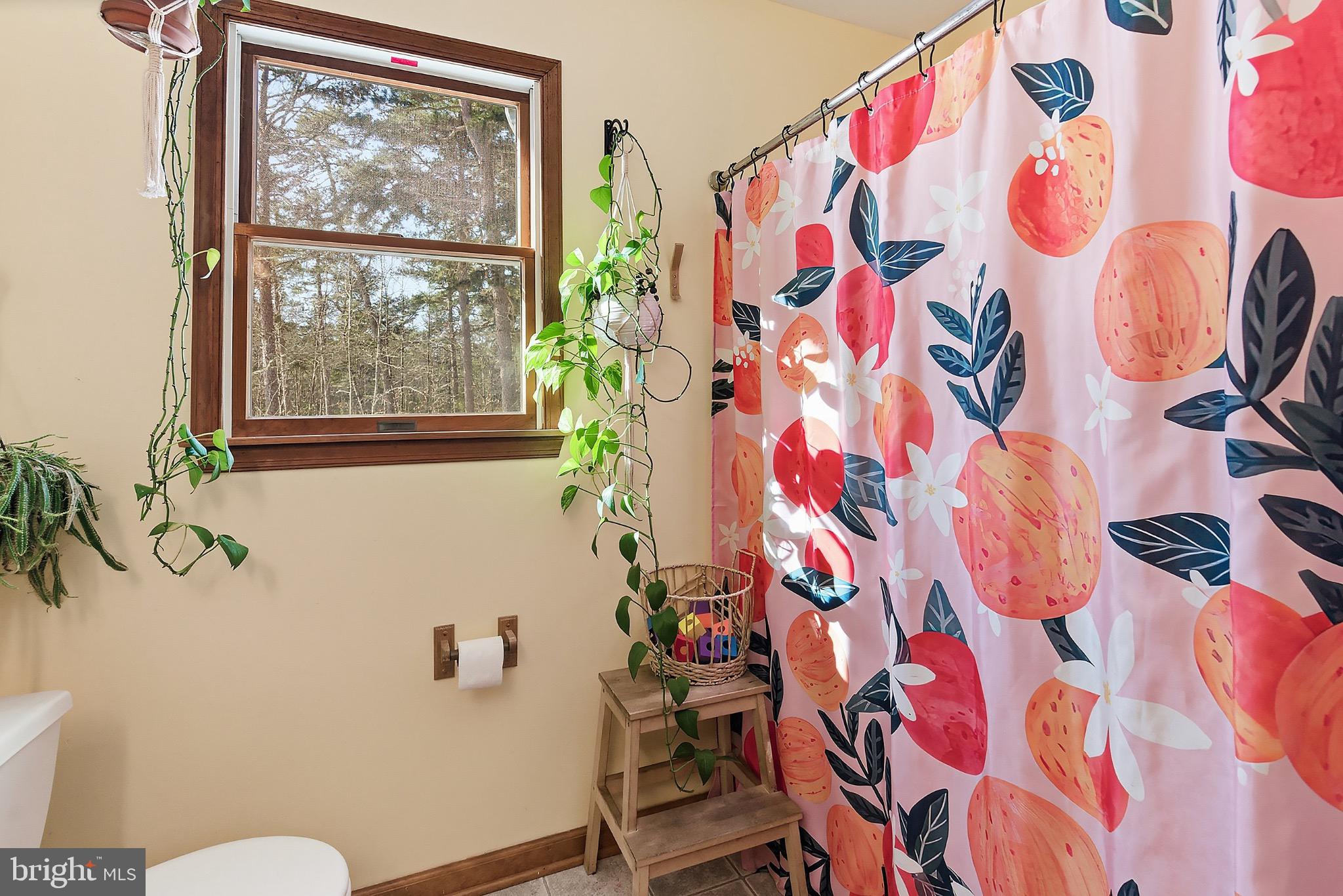 128 Highway 72 Vincentown, NJ 08088 - Photo 21 of 32 a bathroom with a sink mirror vanity and toilet