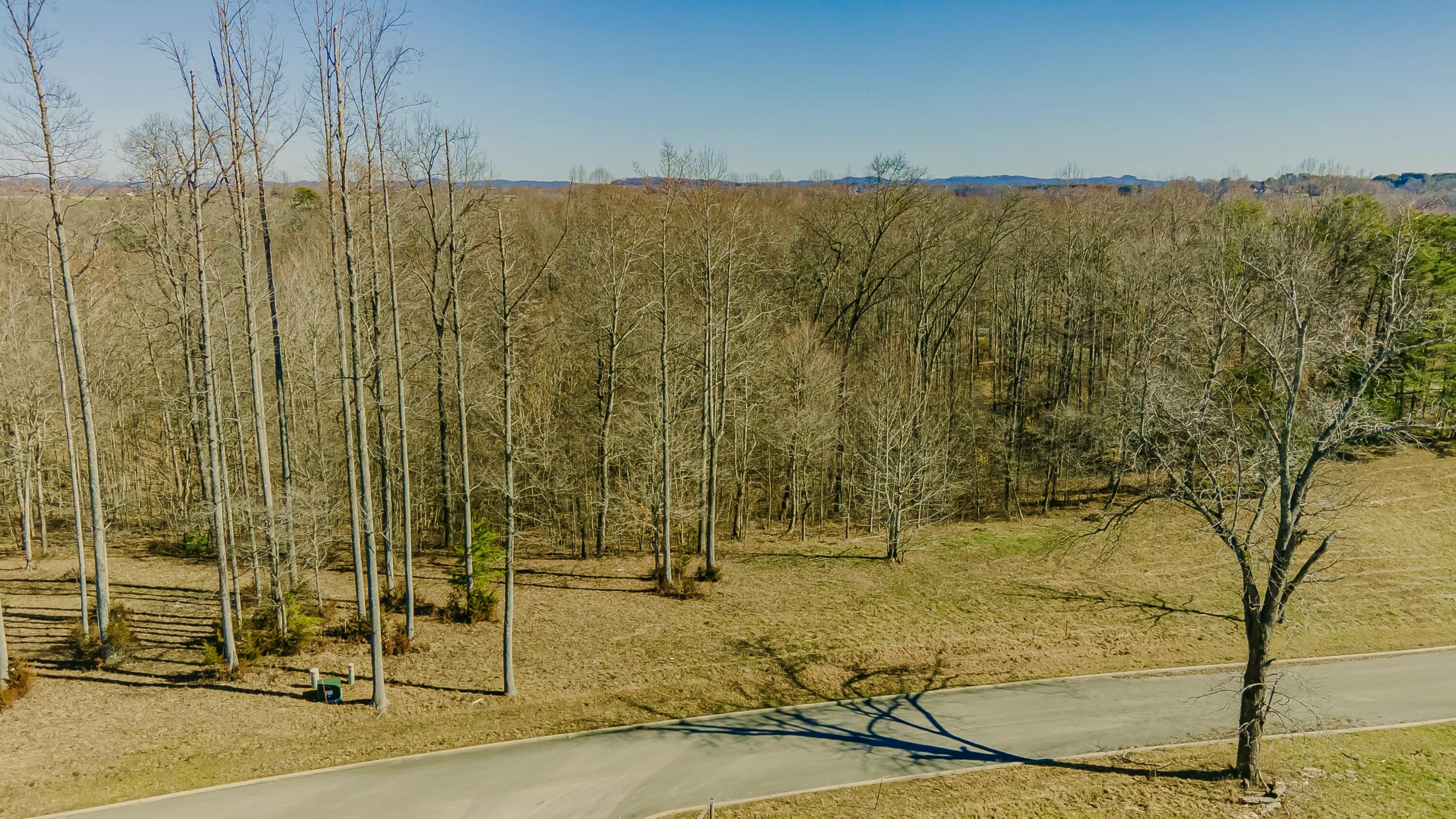 1919 South Shepola Road Nancy, KY 42544 - Photo 3 of 33 tempImageSNhL7h