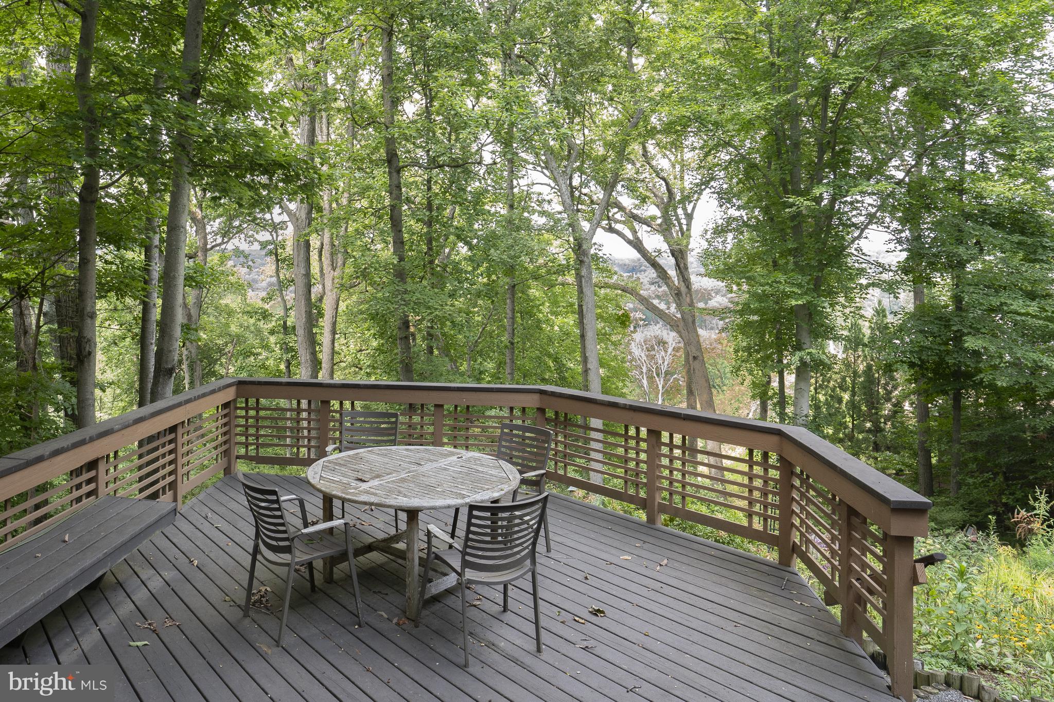 718 Bulls Neck Road McLean, VA 22102 - Photo 12 of 18