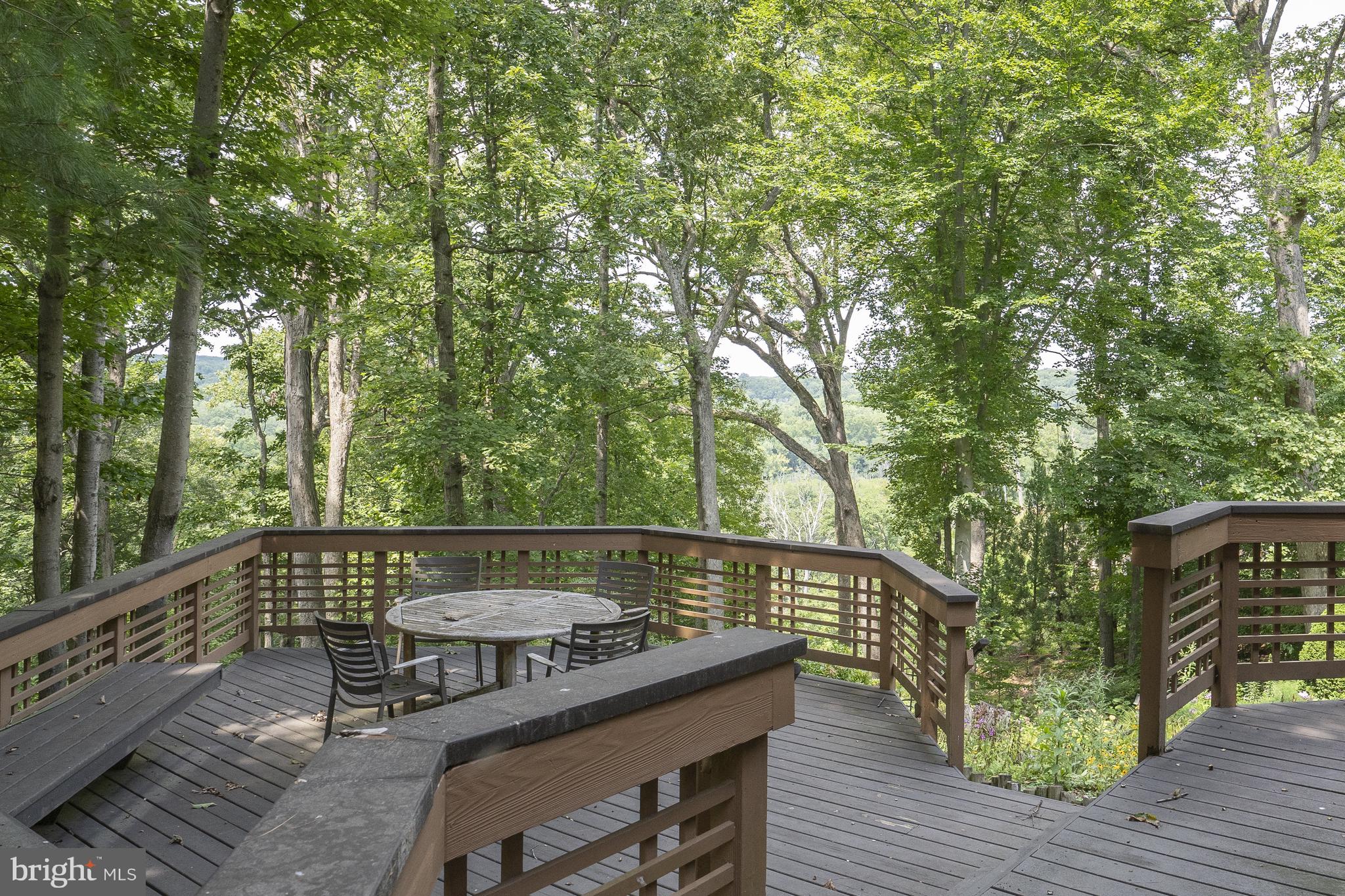 718 Bulls Neck Road McLean, VA 22102 - Photo 14 of 18