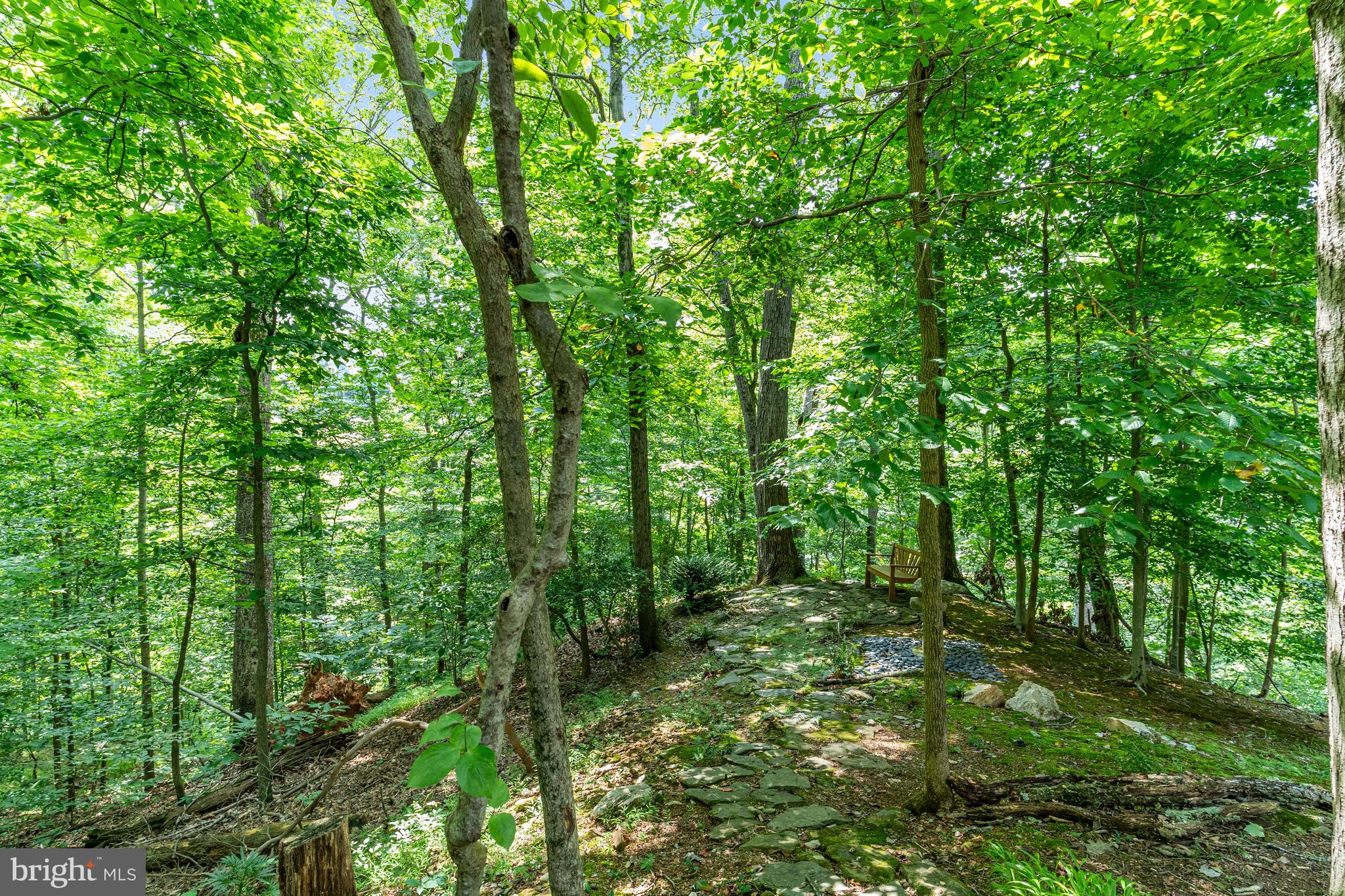 718 Bulls Neck Road McLean, VA 22102 - Photo 8 of 18