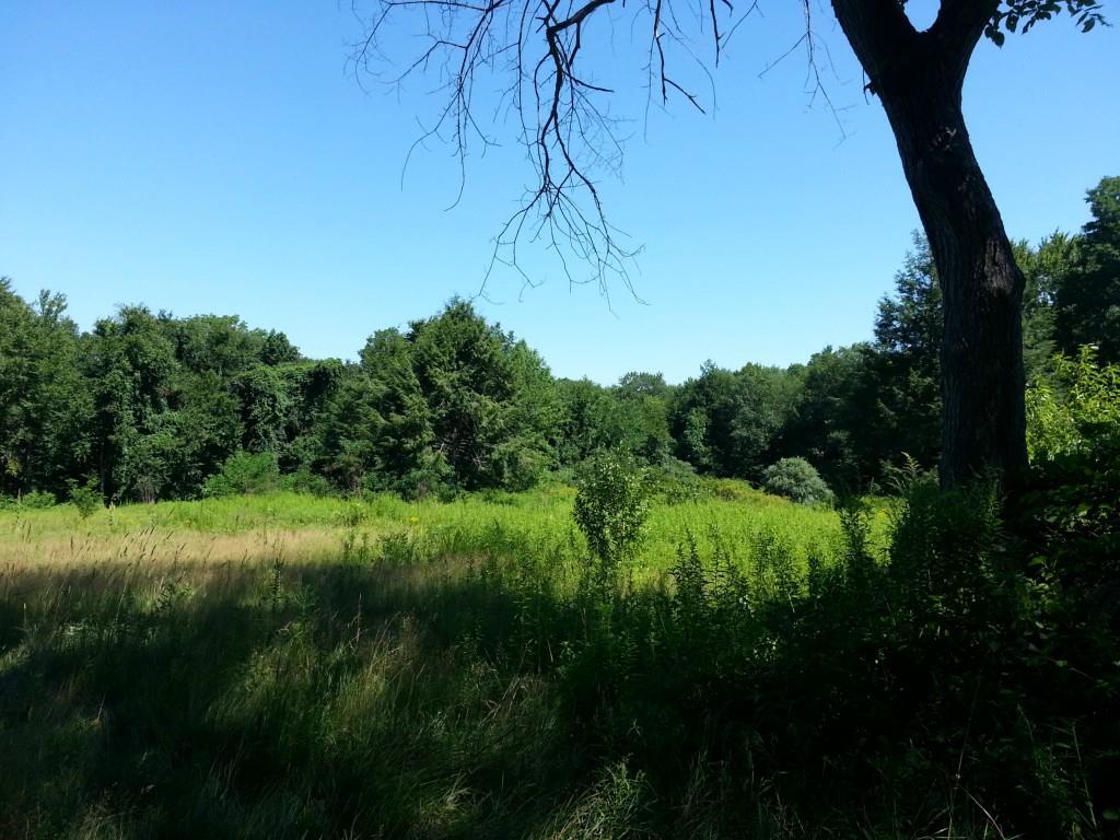 2 Walker Road Canterbury, CT 06331 - Photo 1 of 1