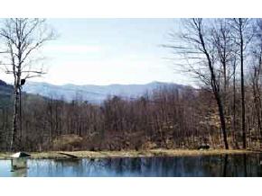 1278 Old Franconia Road Bethlehem, NH 03574 - Photo 2 of 2