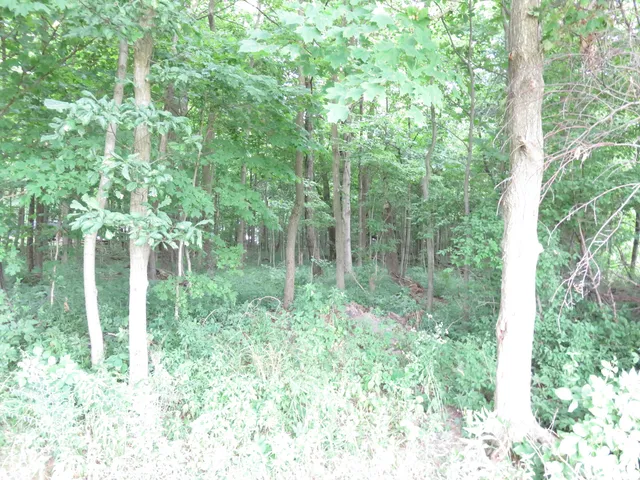 $165,000 | 400 South 1200th West, Parker City, IN 47368