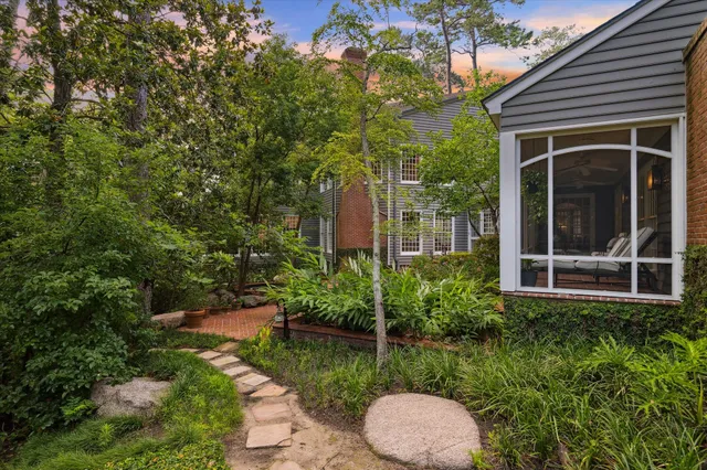 a view of a garden with potted plants and a large tree