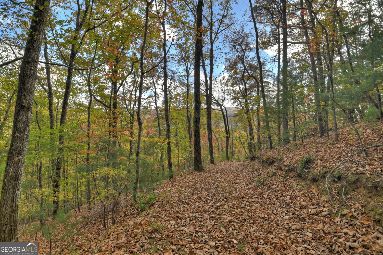 23-AC Weaver Creek Road Blue Ridge, GA 30513 - Photo 10 of 25 Gallery Image 10