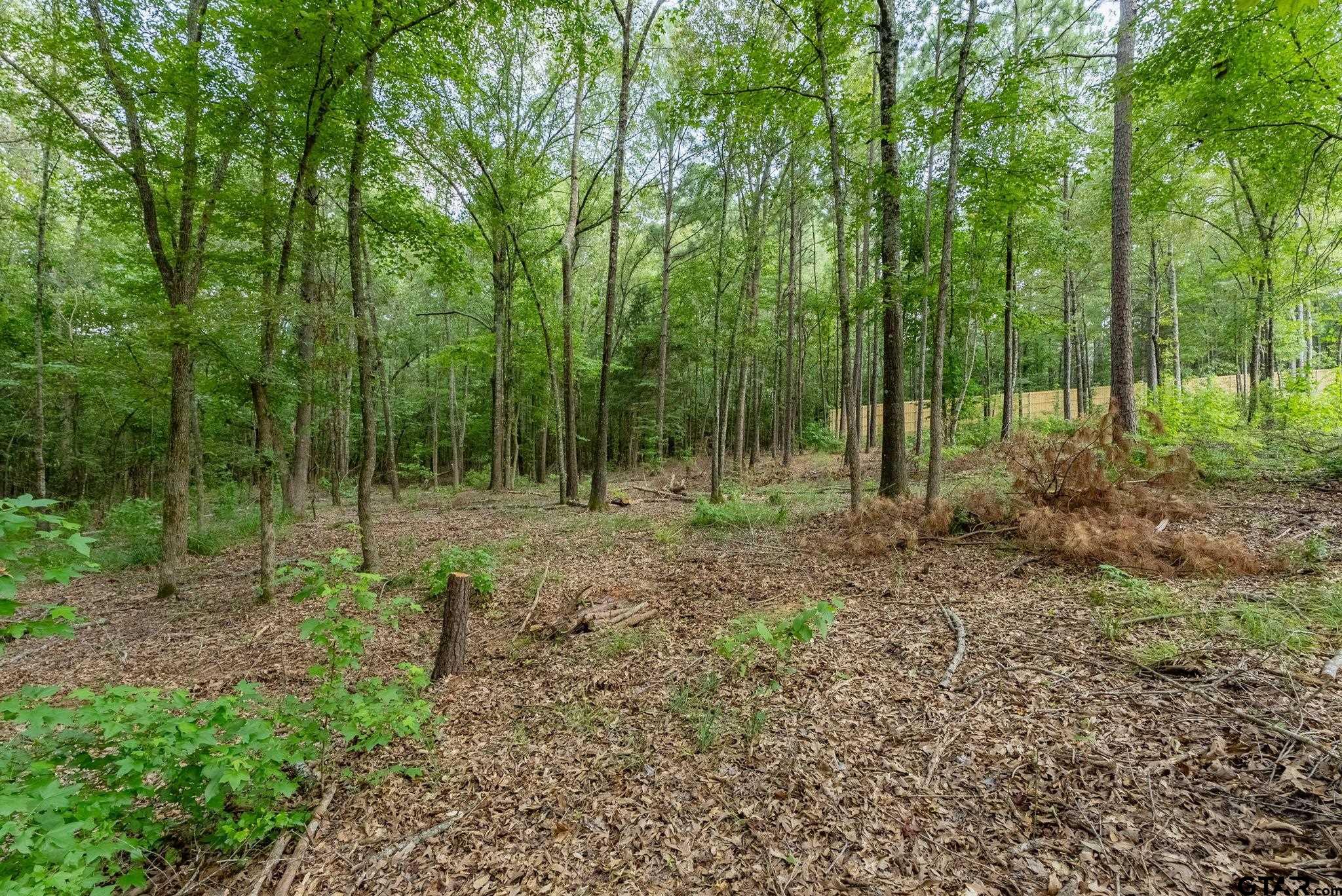 9299 Caddo Rdg Cove Tyler, TX 75703 - Photo 11 of 23