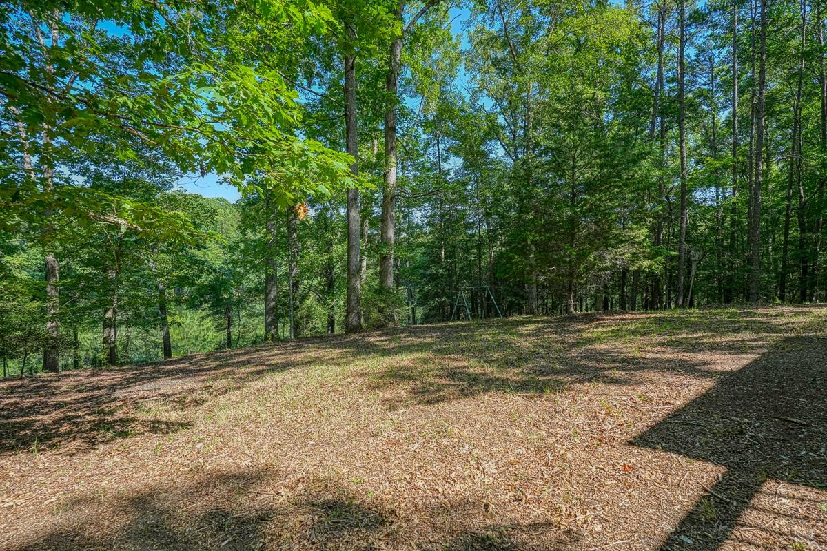 2230 Old Hills Bridge Road Enoree, SC 29335 - Photo 22 of 35