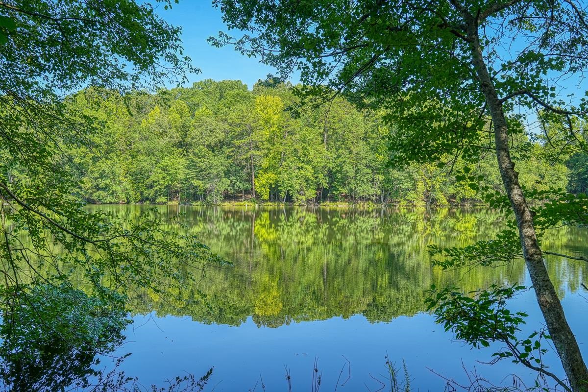 2230 Old Hills Bridge Road Enoree, SC 29335 - Photo 24 of 35