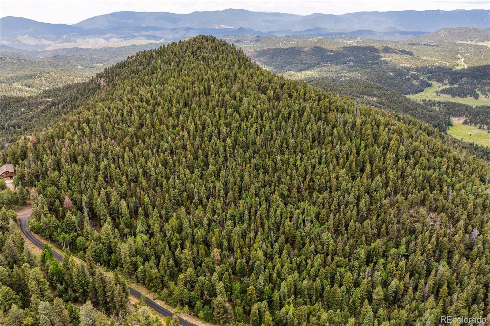 31545 Pike View Drive Conifer, CO 80433 - Photo 19 of 21 a view of a lush green hillside and a mountain