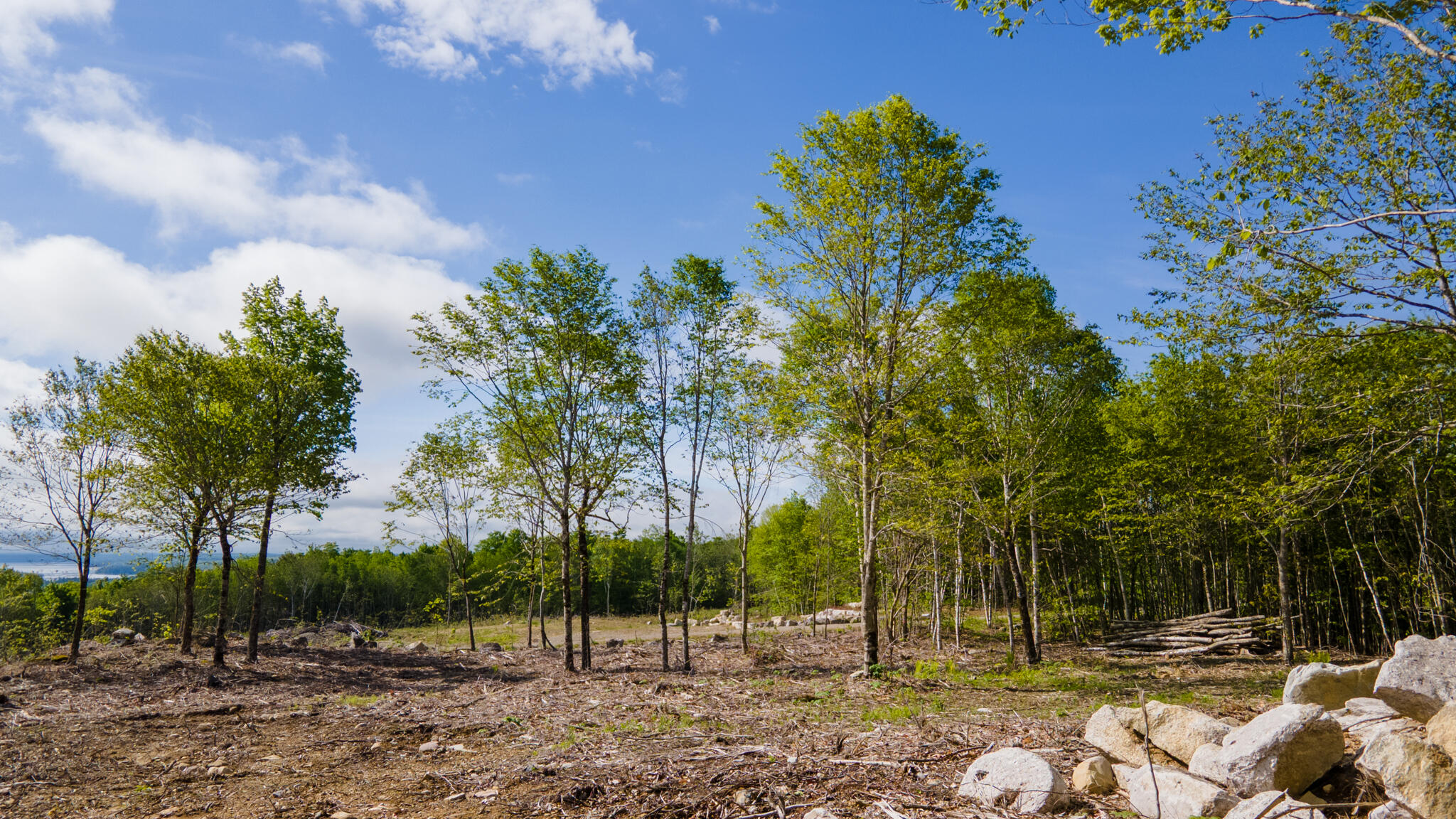 Lot 21 Grand View Drive Dedham, ME 04429 - Photo 11 of 19 20250530-DJI_0079-HDR