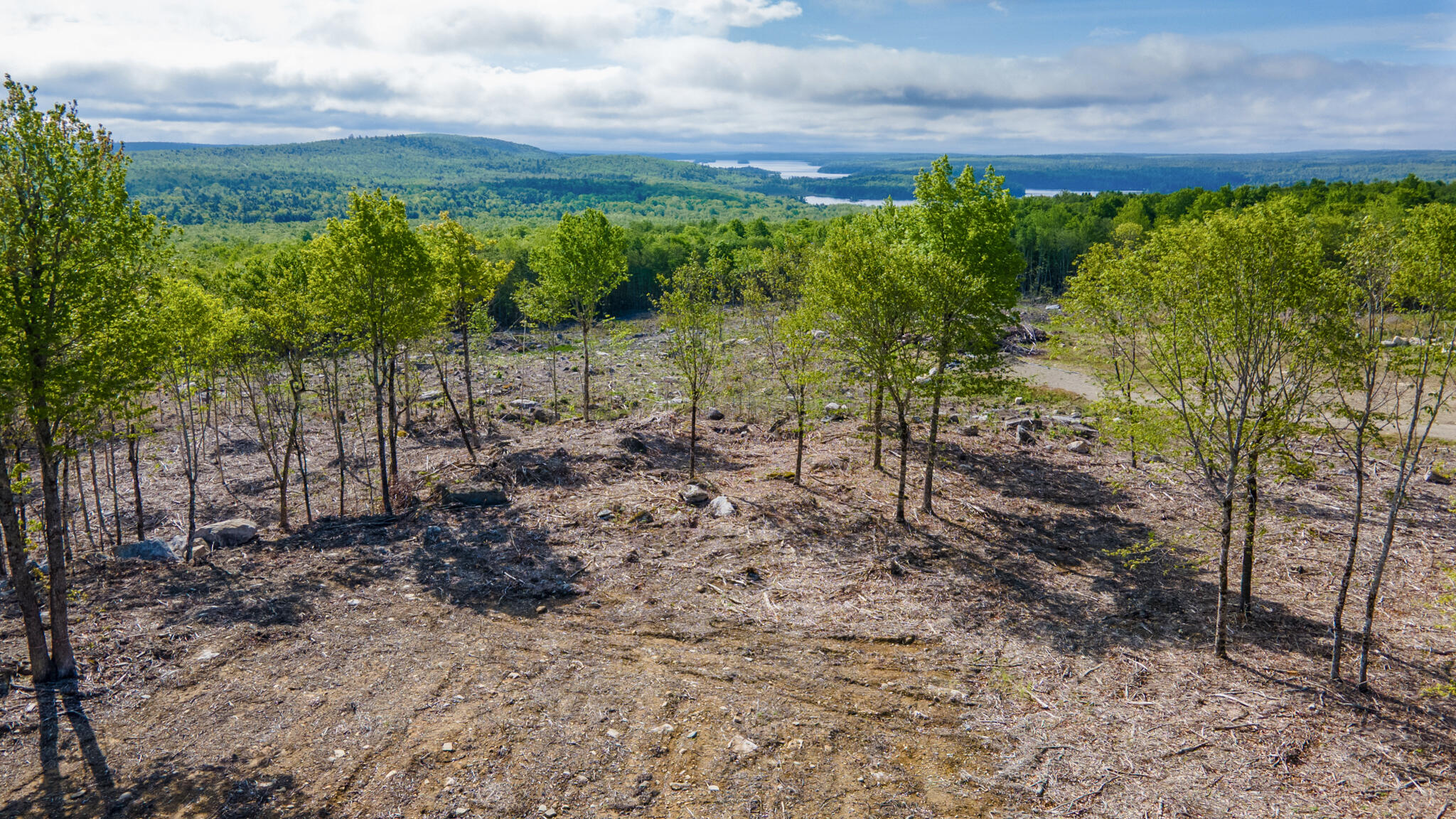 Lot 21 Grand View Drive Dedham, ME 04429 - Photo 12 of 19 20250530-DJI_0082-HDR