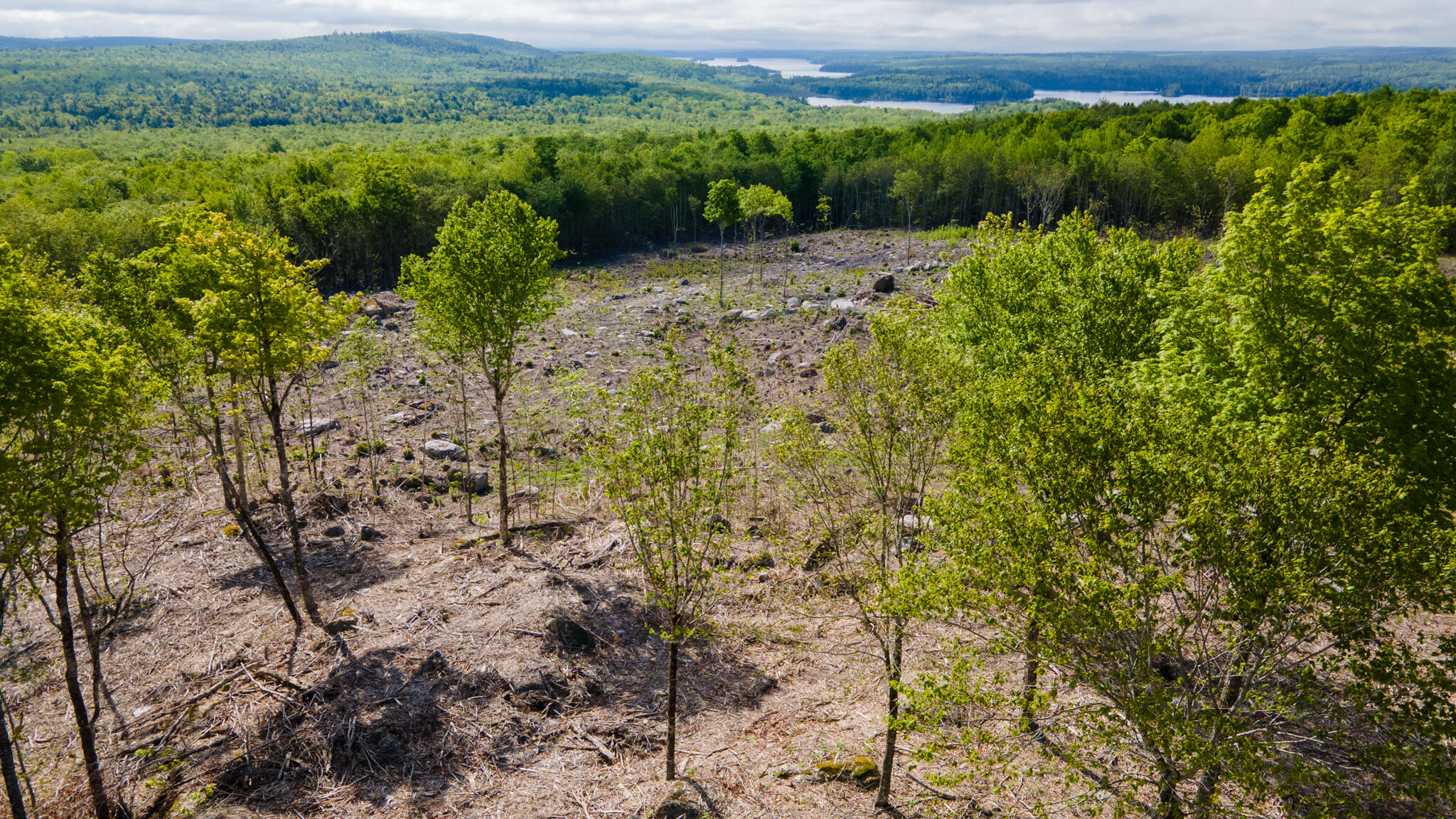Lot 21 Grand View Drive Dedham, ME 04429 - Photo 13 of 19 20250530-DJI_0085-HDR