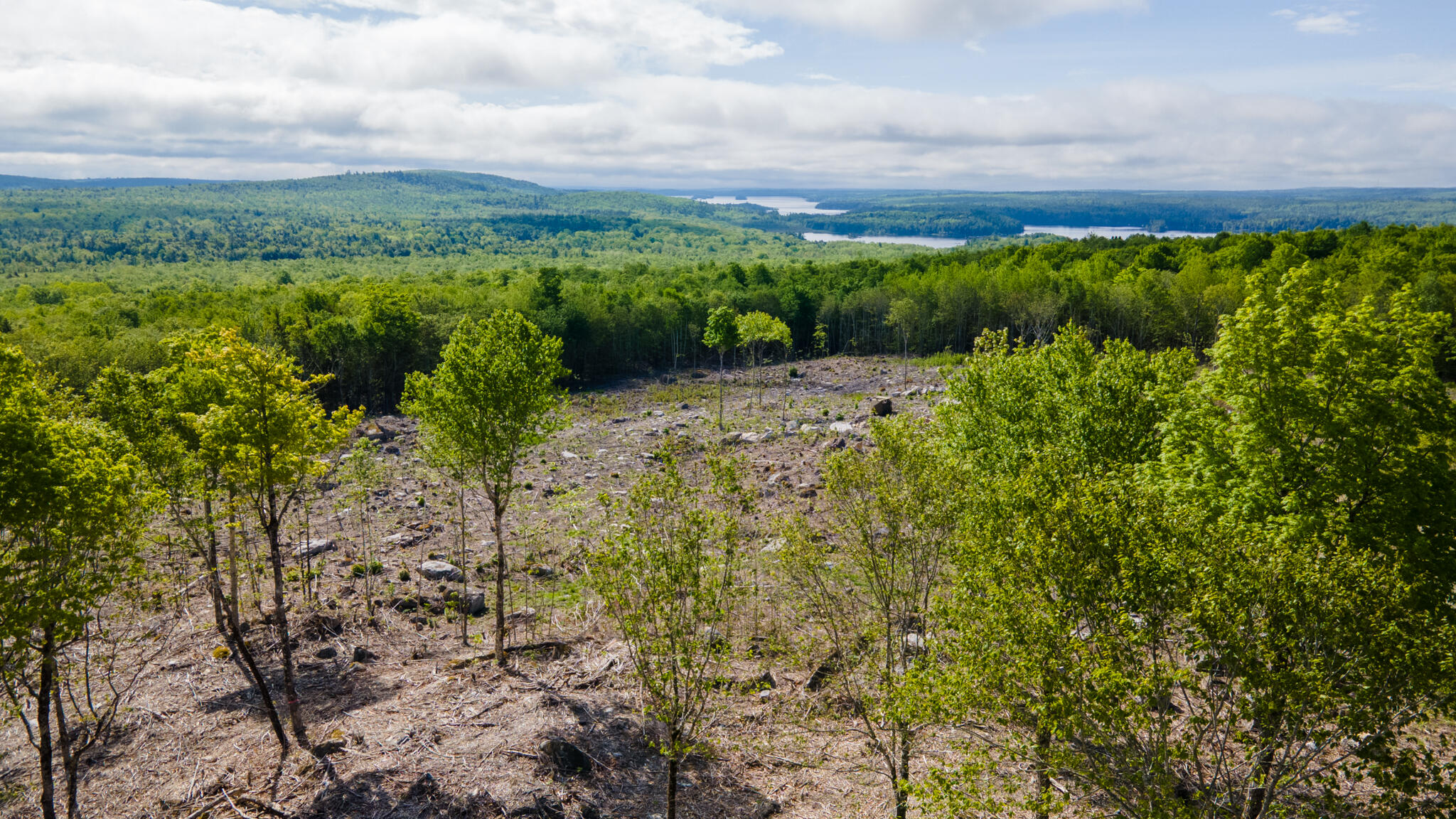 Lot 21 Grand View Drive Dedham, ME 04429 - Photo 14 of 19 20250530-DJI_0088-HDR