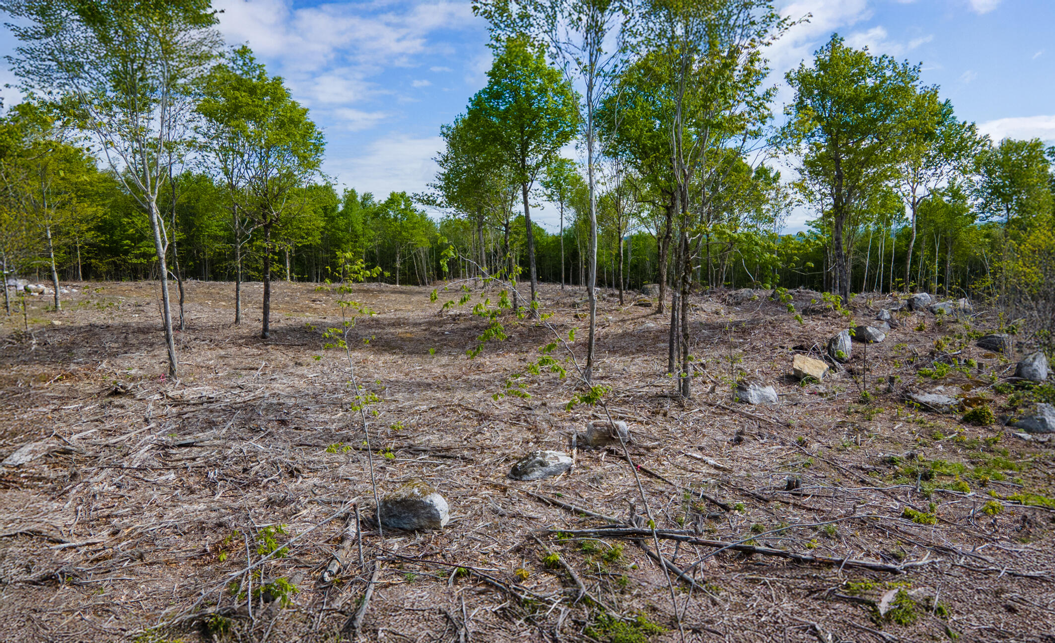 Lot 21 Grand View Drive Dedham, ME 04429 - Photo 16 of 19 20250530-DJI_0100-HDR