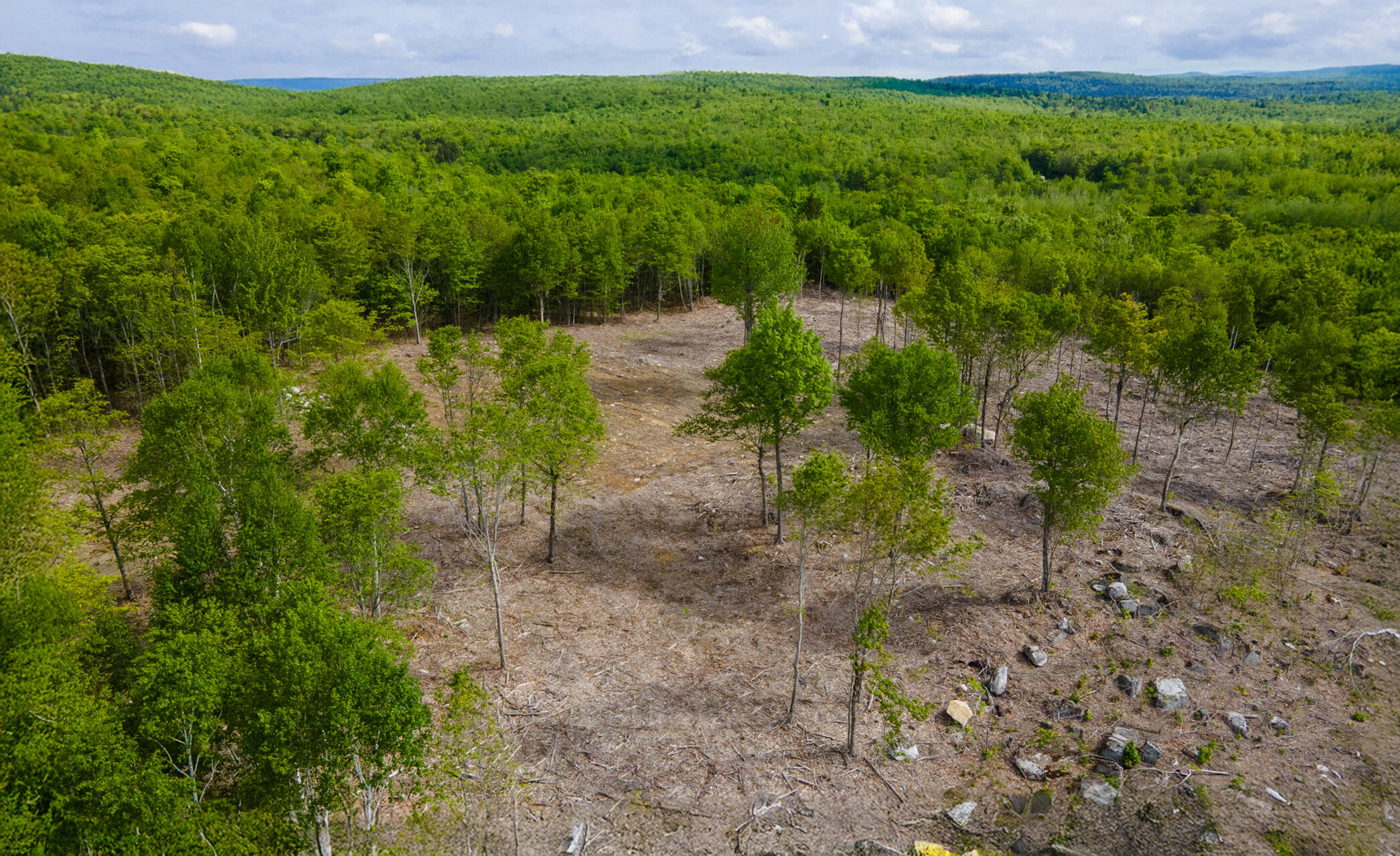 Lot 21 Grand View Drive Dedham, ME 04429 - Photo 17 of 19 20250530-DJI_0103-HDR