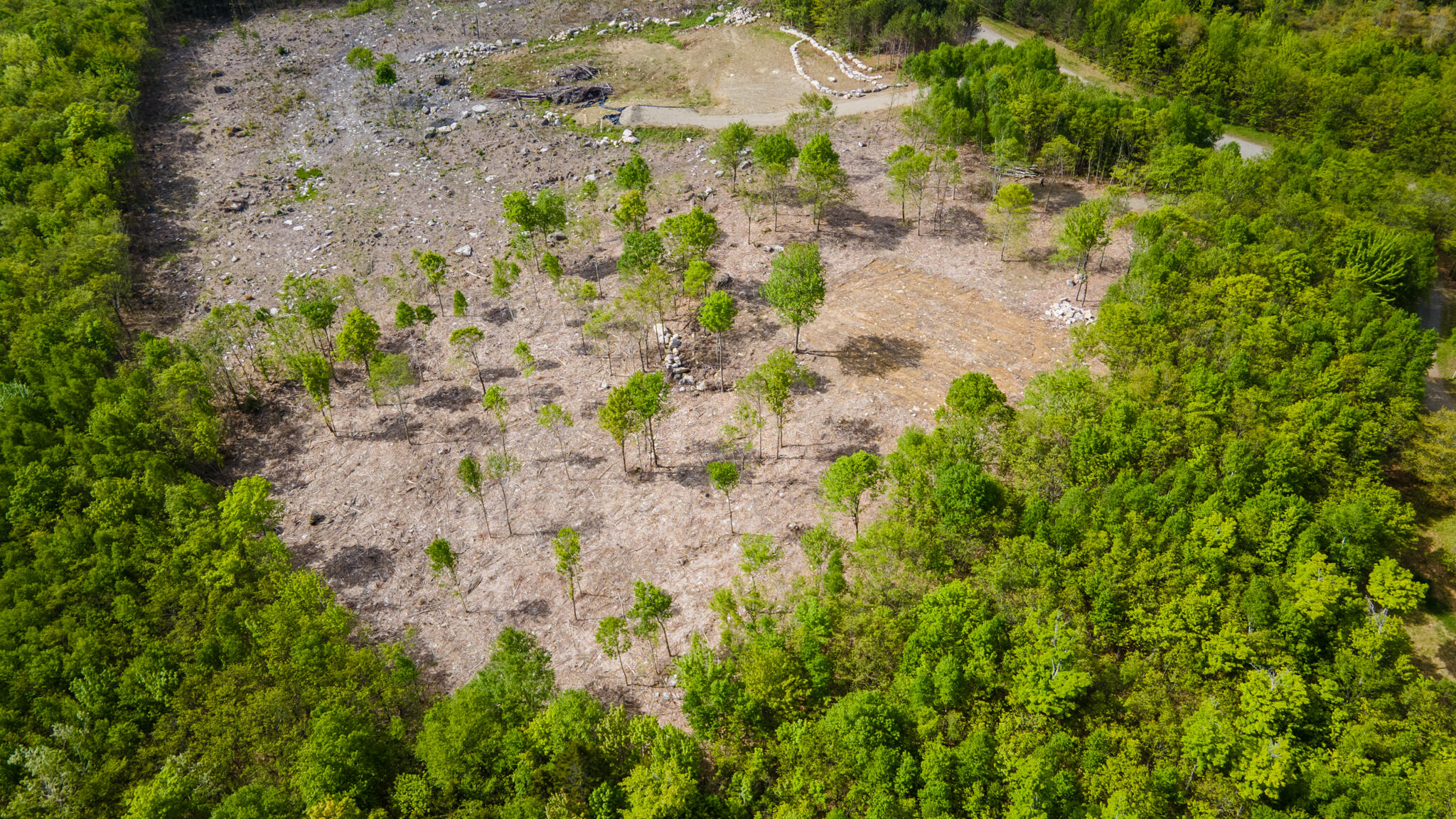 Lot 21 Grand View Drive Dedham, ME 04429 - Photo 19 of 19 20250530-DJI_0112-HDR
