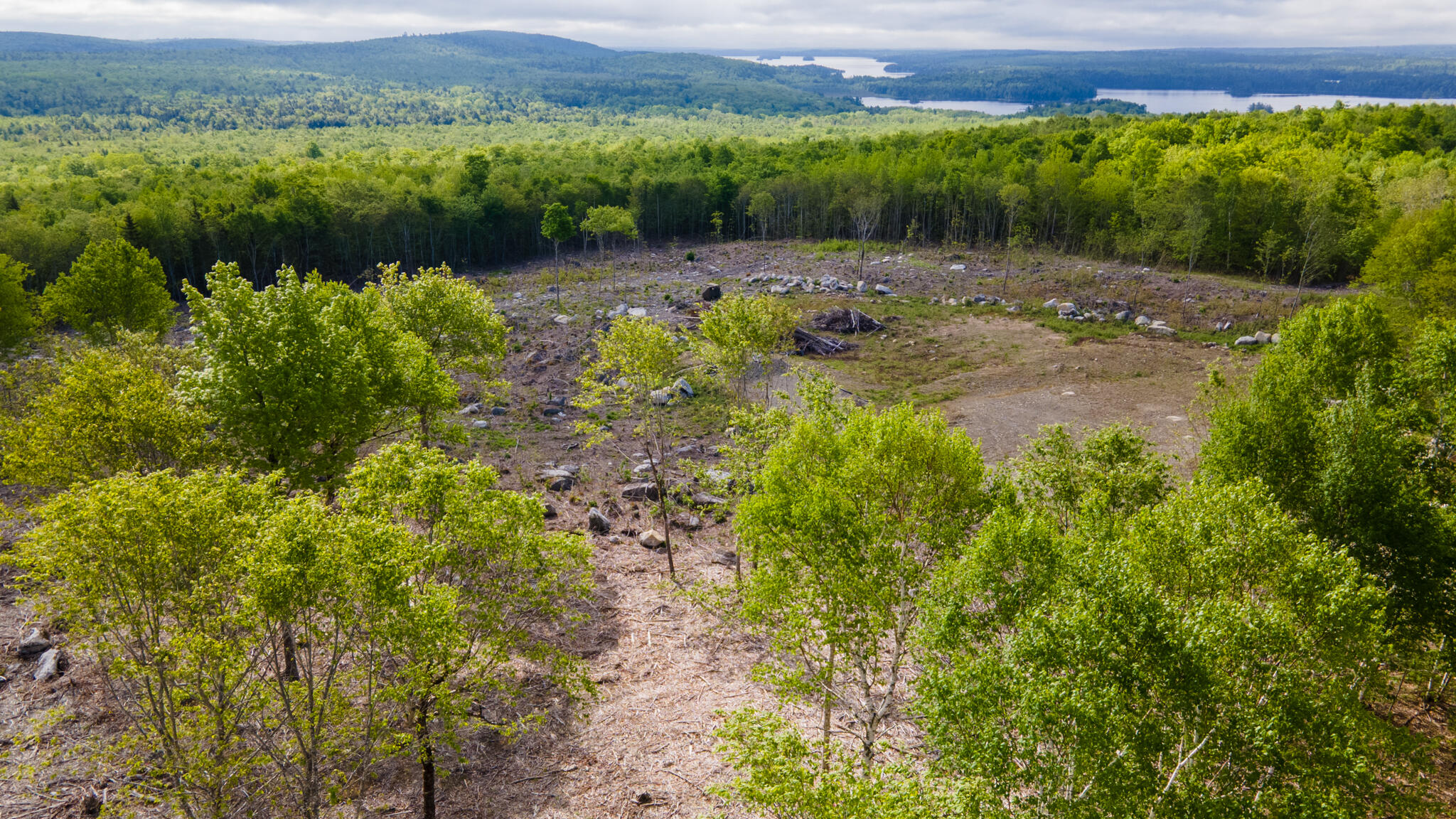 Lot 21 Grand View Drive Dedham, ME 04429 - Photo 7 of 19 20250530-DJI_0064-HDR