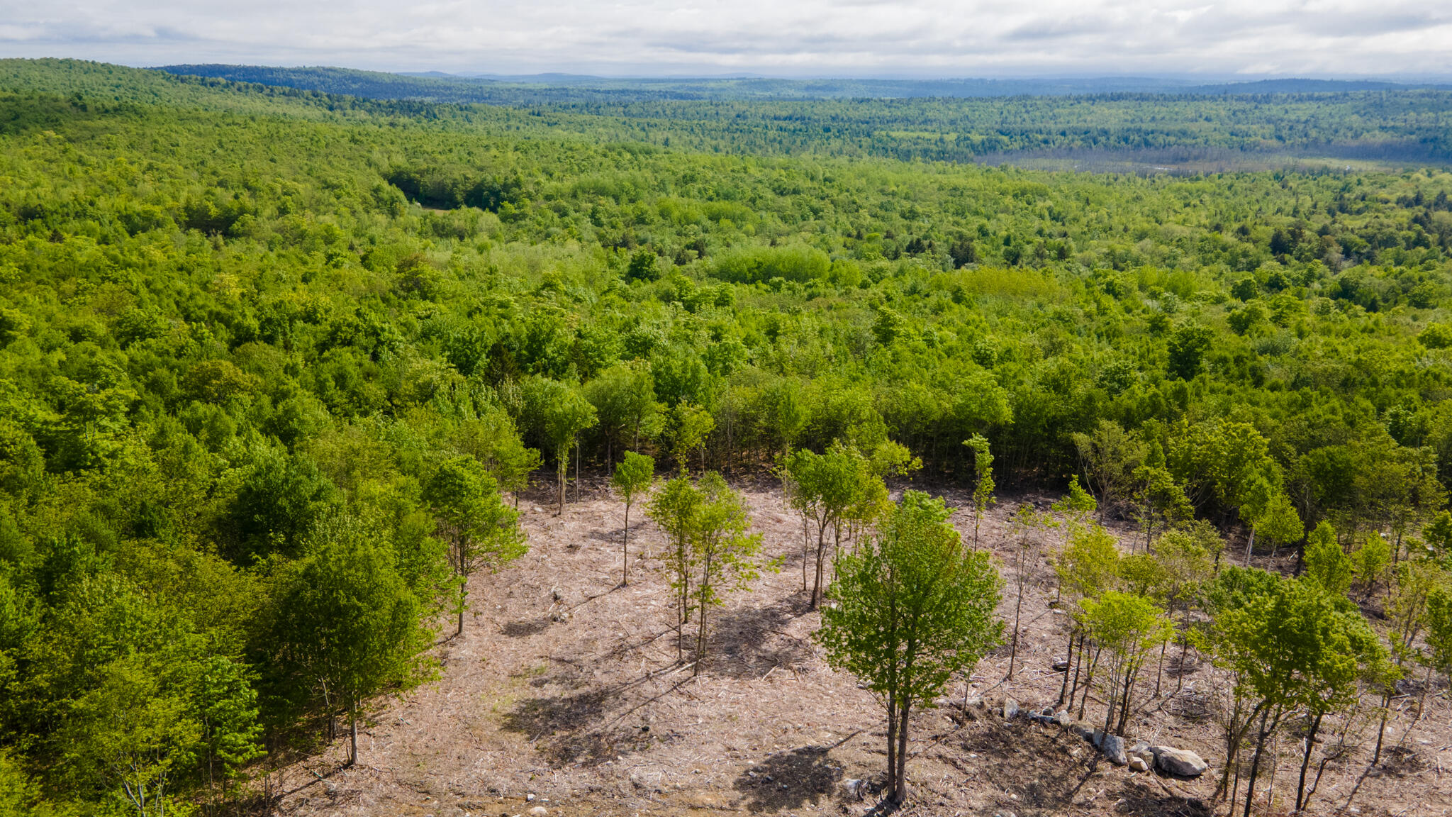 Lot 21 Grand View Drive Dedham, ME 04429 - Photo 10 of 19 20250530-DJI_0074-HDR