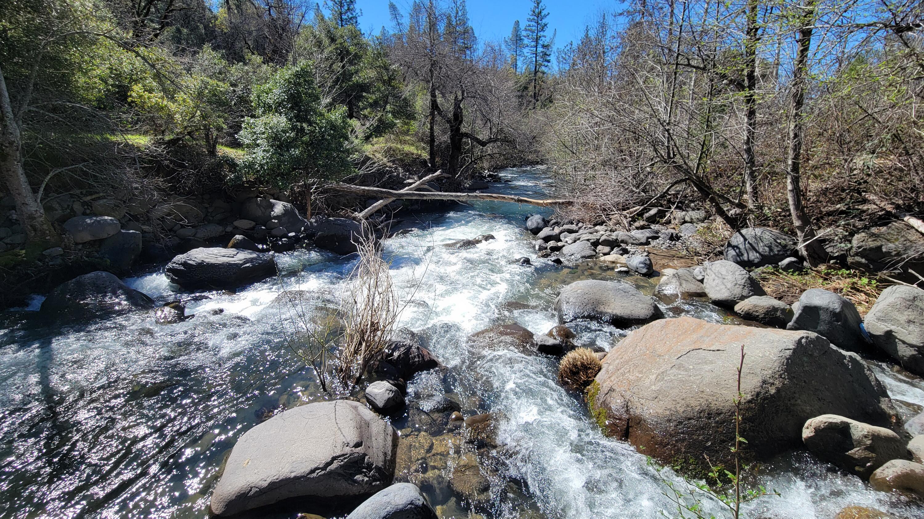 0 Jacey's Tract Road Oak Run, CA 96069 - Photo 18 of 35 20260317_122521