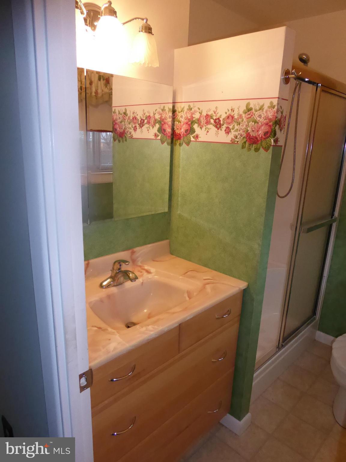 1218 Redcliffe Road Catonsville, MD 21228 - Photo 10 of 18 Main Level-Master Bath-View 2