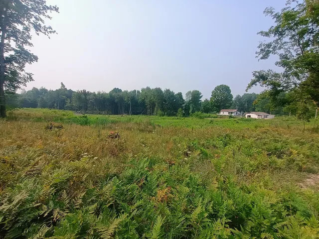 $165,000 | 6263 East Van Buren Road, Walkerville, MI 49459