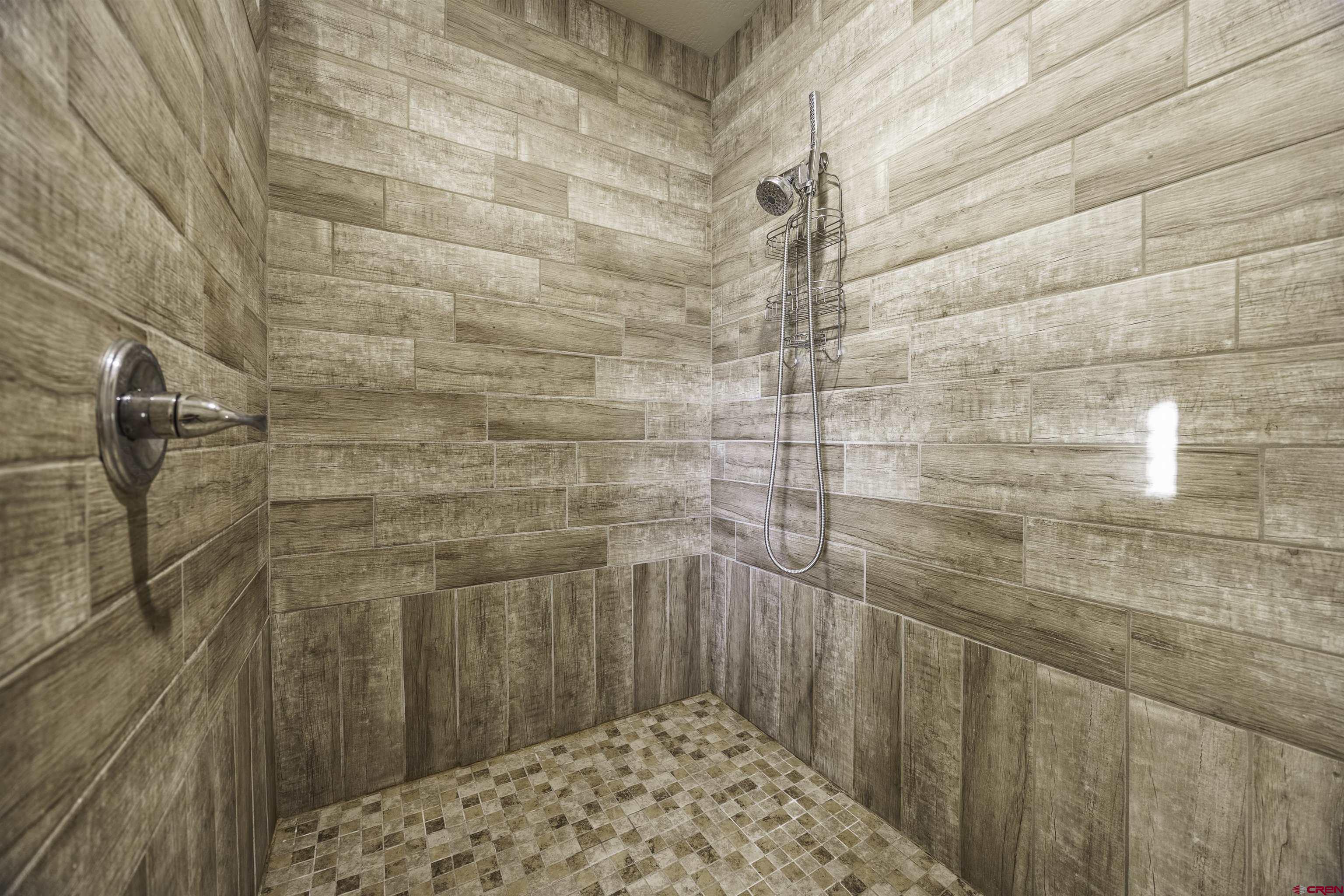 697 Grand Vista Road Delta, CO 81416 - Photo 20 of 44 a bathroom with a shower