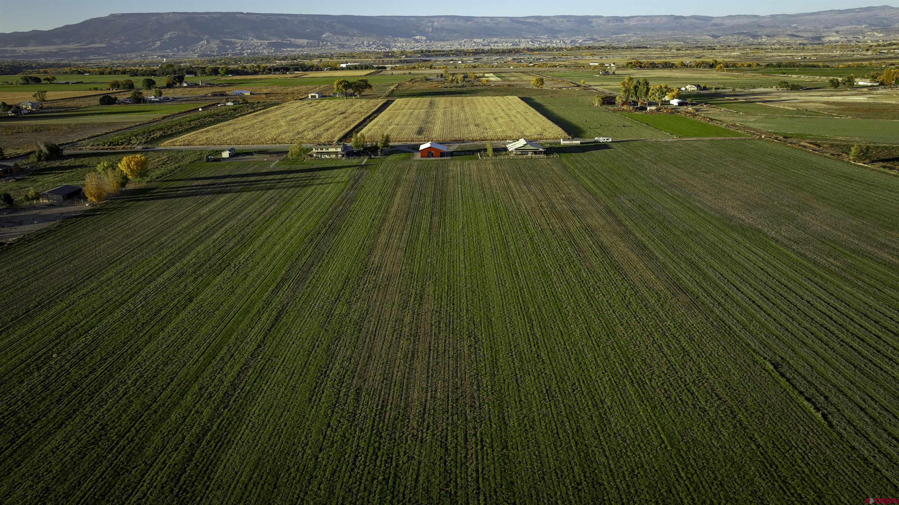 697 Grand Vista Road Delta, CO 81416 - Photo 43 of 44