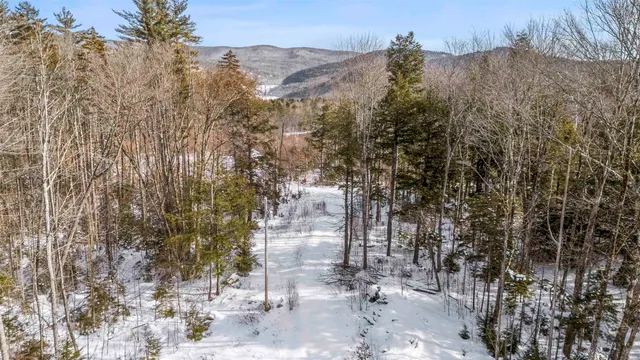 $379,000 | 101 Catherine Road, Jamaica, VT 05343