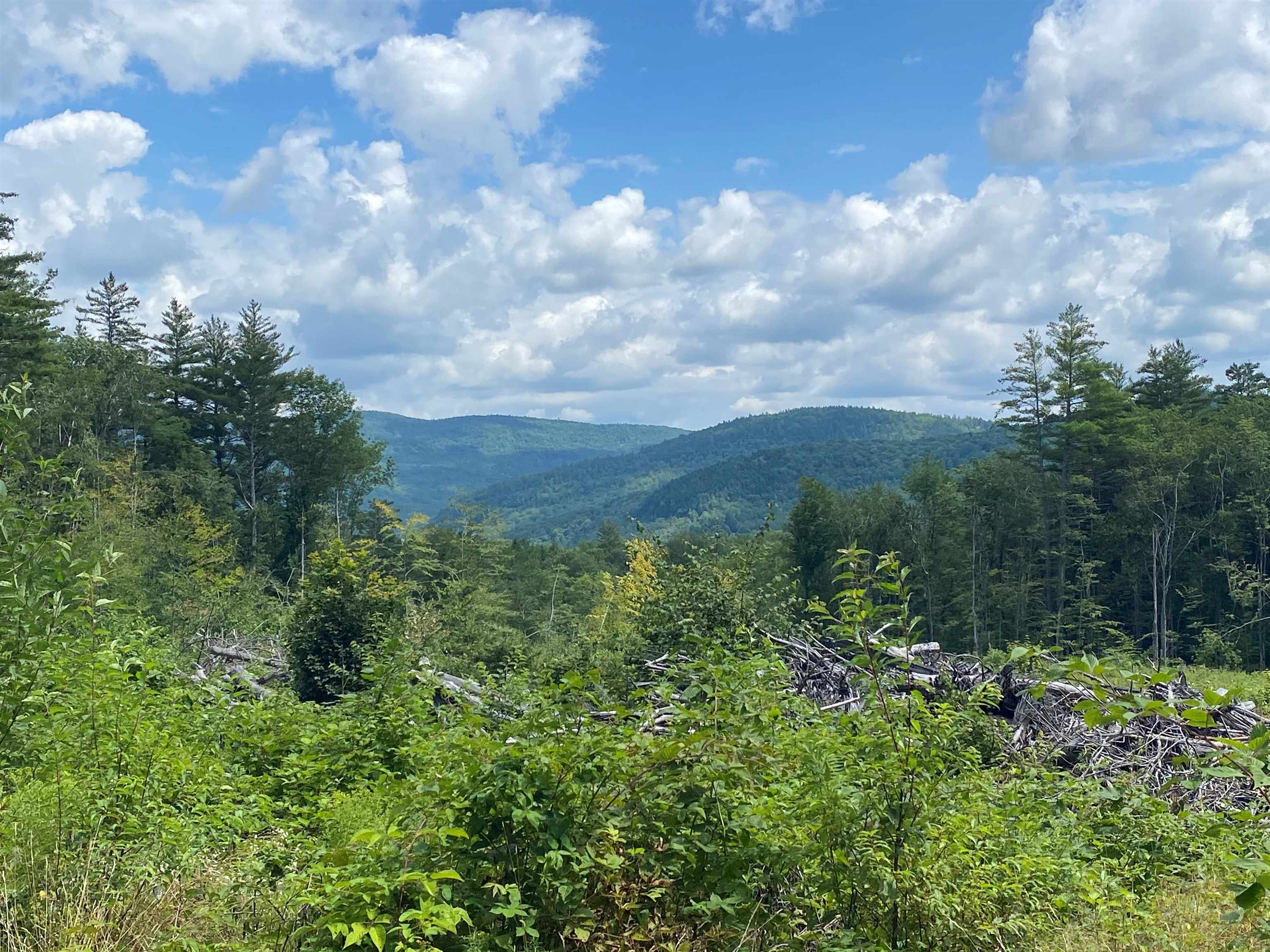 101 Catherine Road Jamaica, VT 05343 - Photo 20 of 21