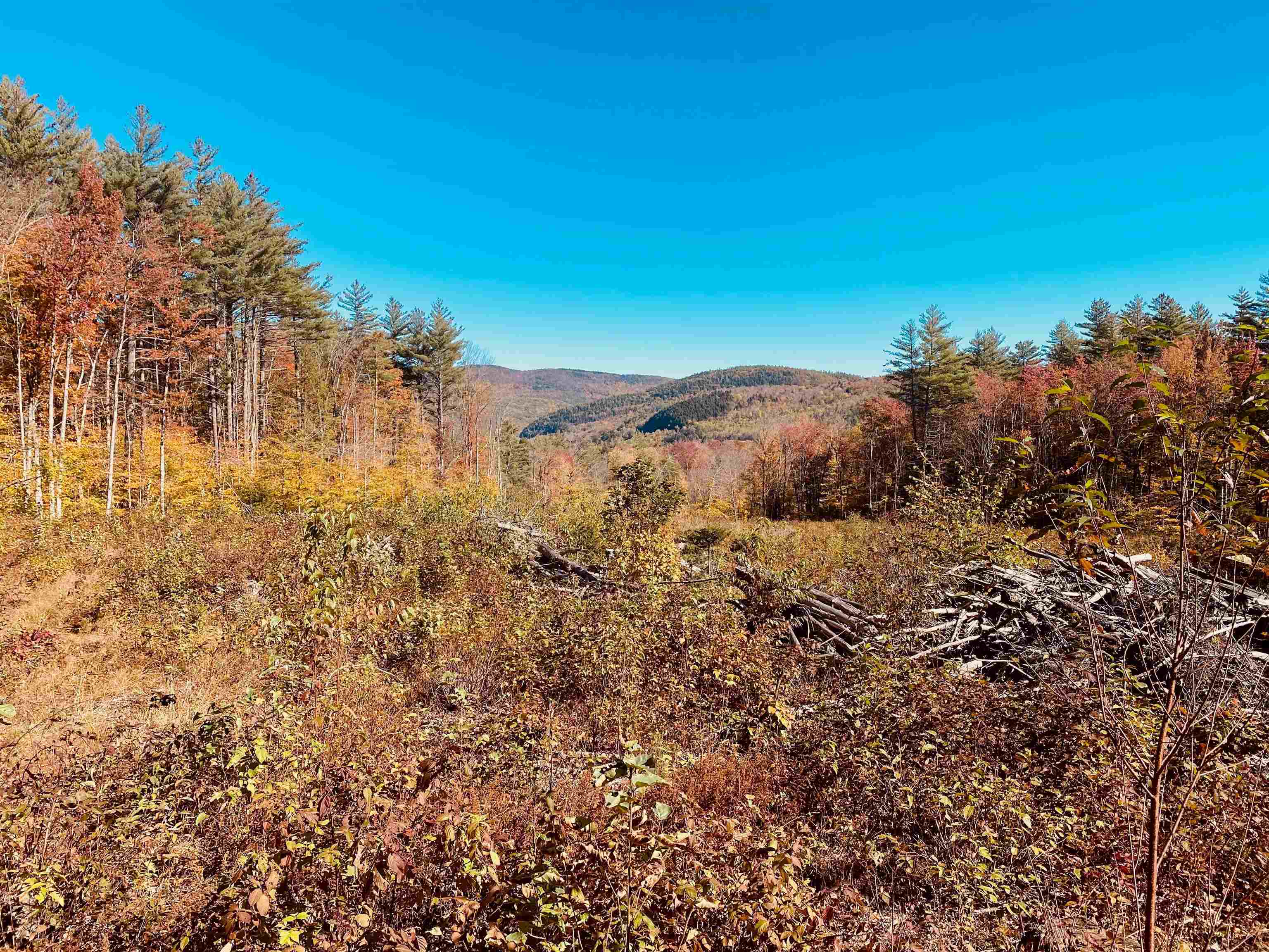 101 Catherine Road Jamaica, VT 05343 - Photo 21 of 21