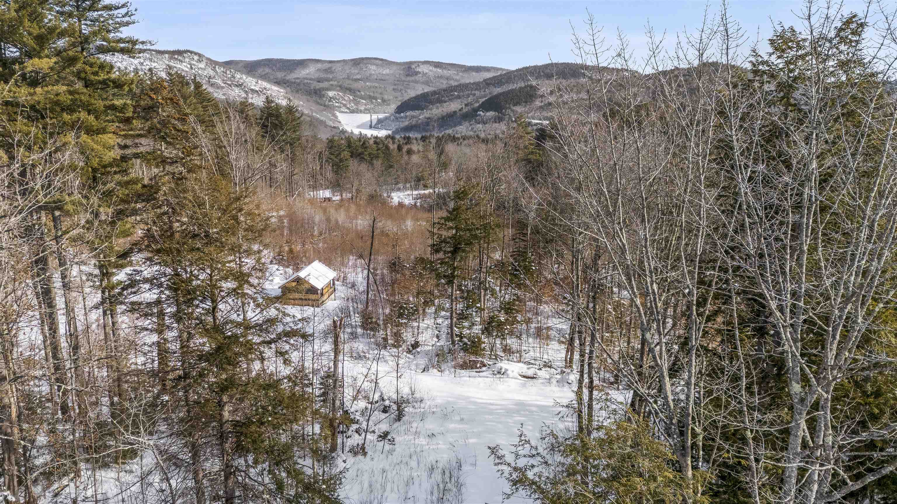 101 Catherine Road Jamaica, VT 05343 - Photo 3 of 21