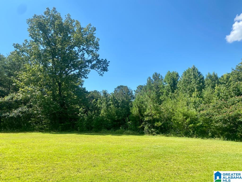 1300 Lake Road Oneonta, AL 35121 - Photo 53 of 55