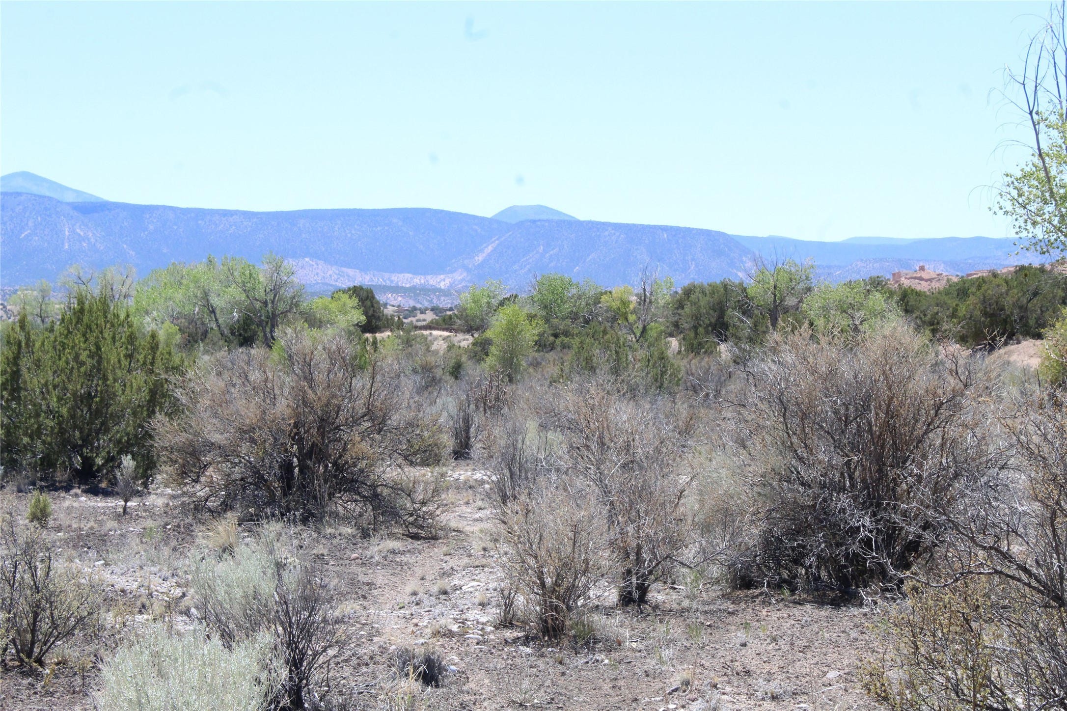 Tbd Tbd Bean Creek Road Abiquiu, NM 87510 - Photo 17 of 22 EL RITO CREEK
