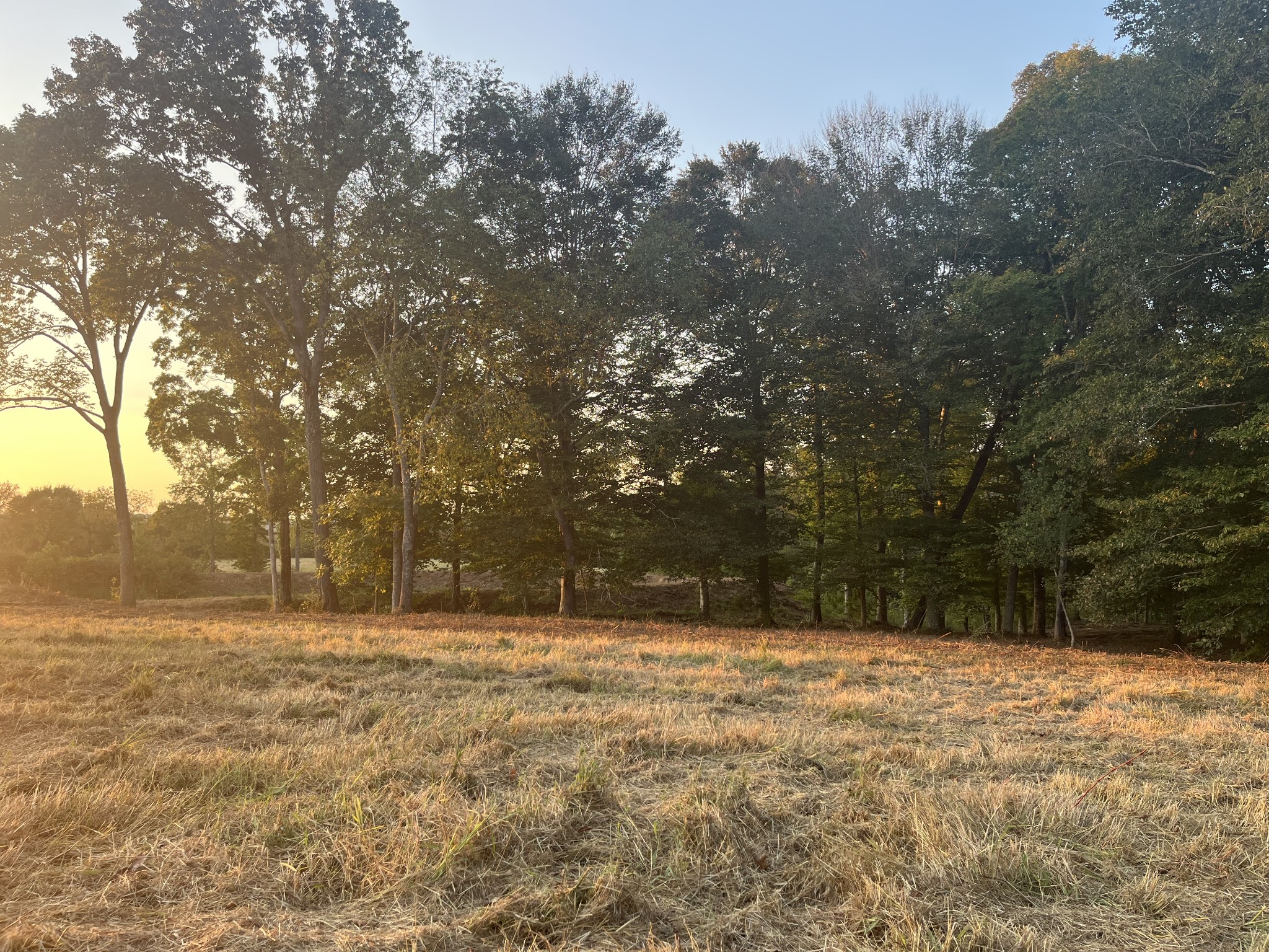 0 Stringfellow Road White Bluff, TN 37187 - Photo 16 of 38