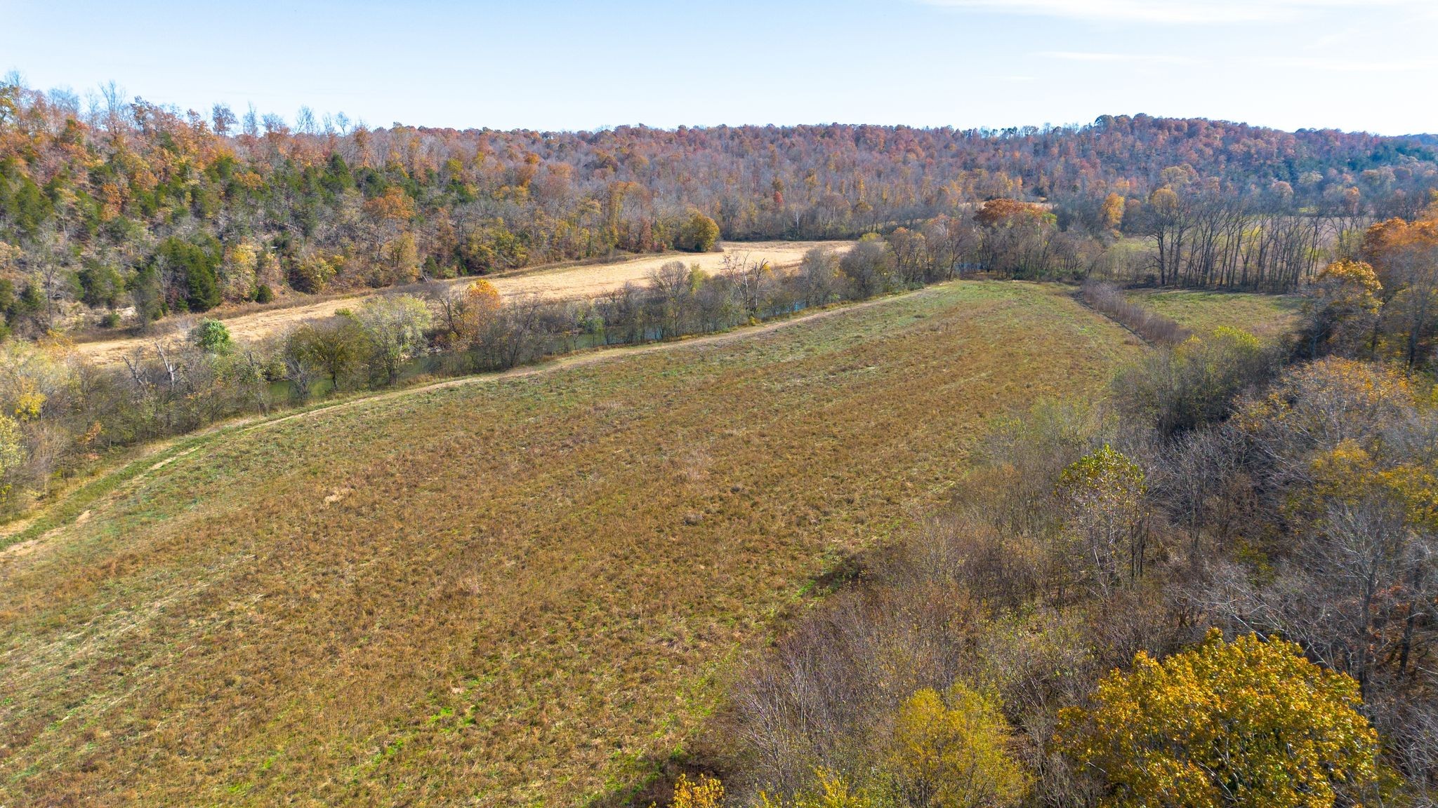 0 Stringfellow Road White Bluff, TN 37187 - Photo 17 of 38