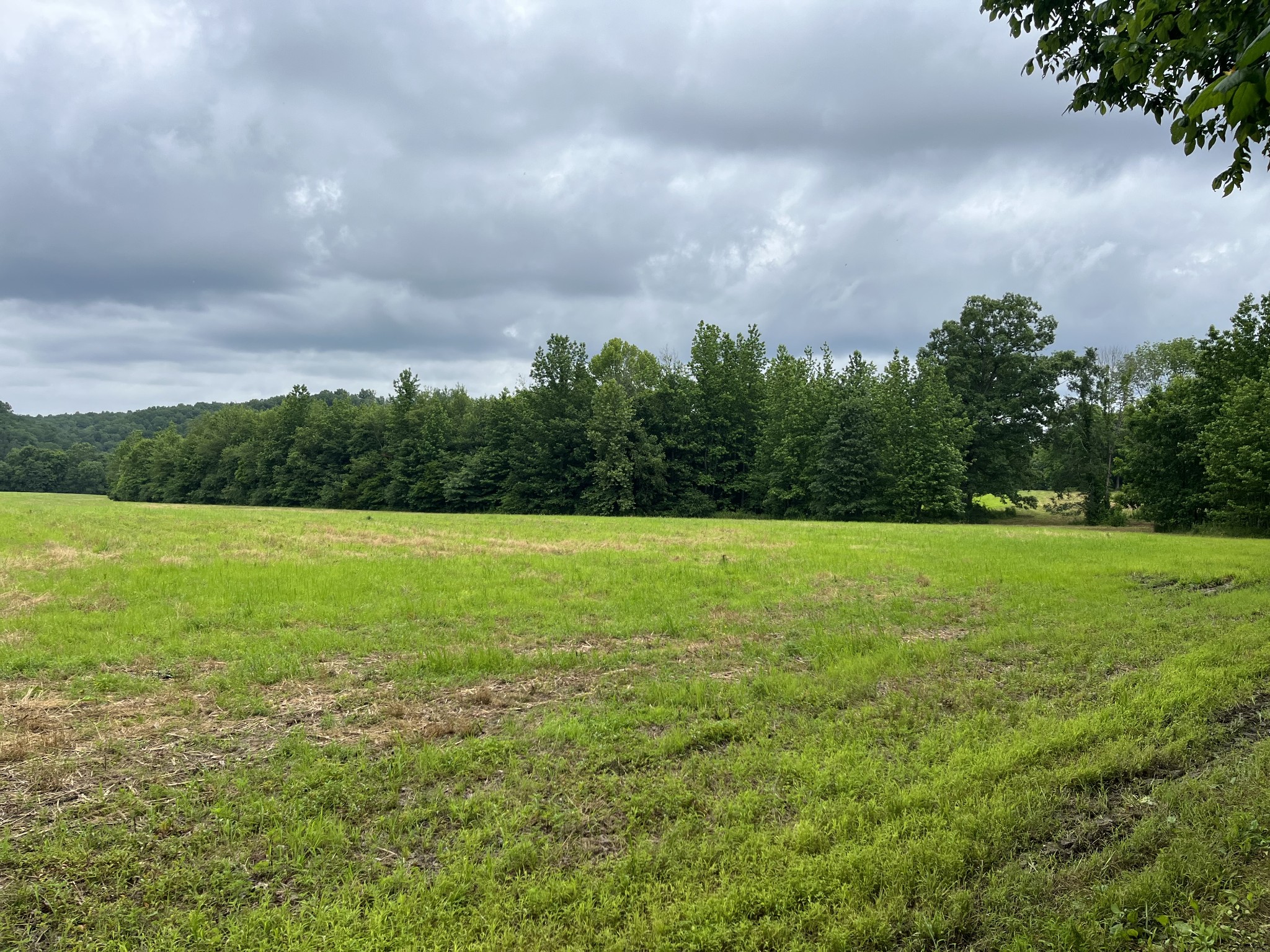 0 Stringfellow Road White Bluff, TN 37187 - Photo 19 of 38