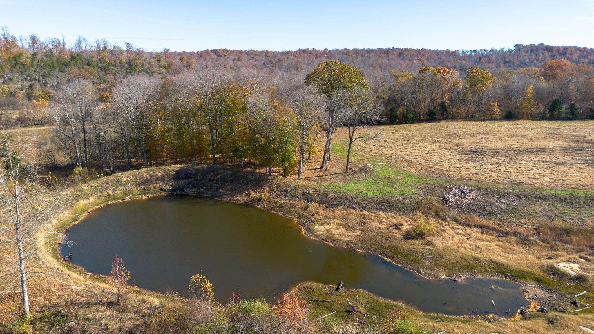 0 Stringfellow Road White Bluff, TN 37187 - Photo 20 of 38