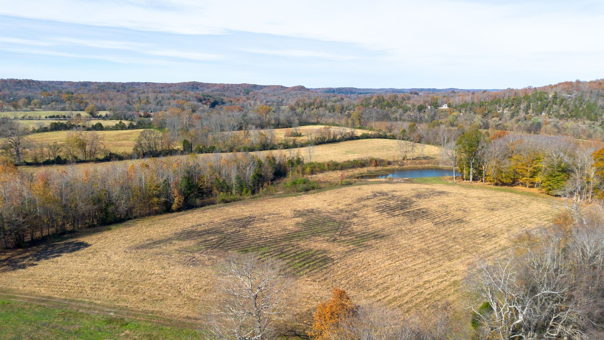0 Stringfellow Road White Bluff, TN 37187 - Photo 21 of 38