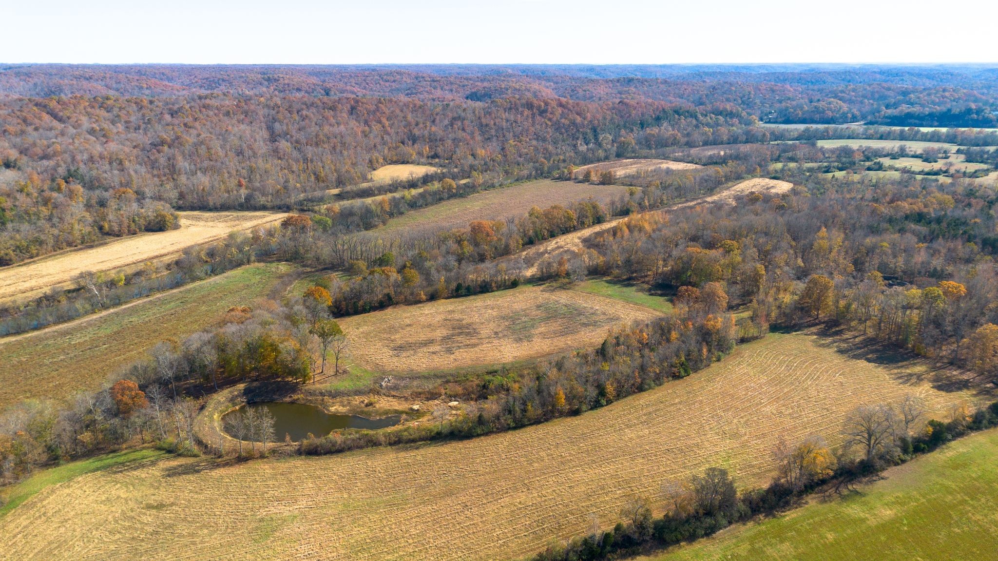 0 Stringfellow Road White Bluff, TN 37187 - Photo 22 of 38