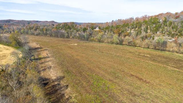 a view of a dry field with mountains in the background
