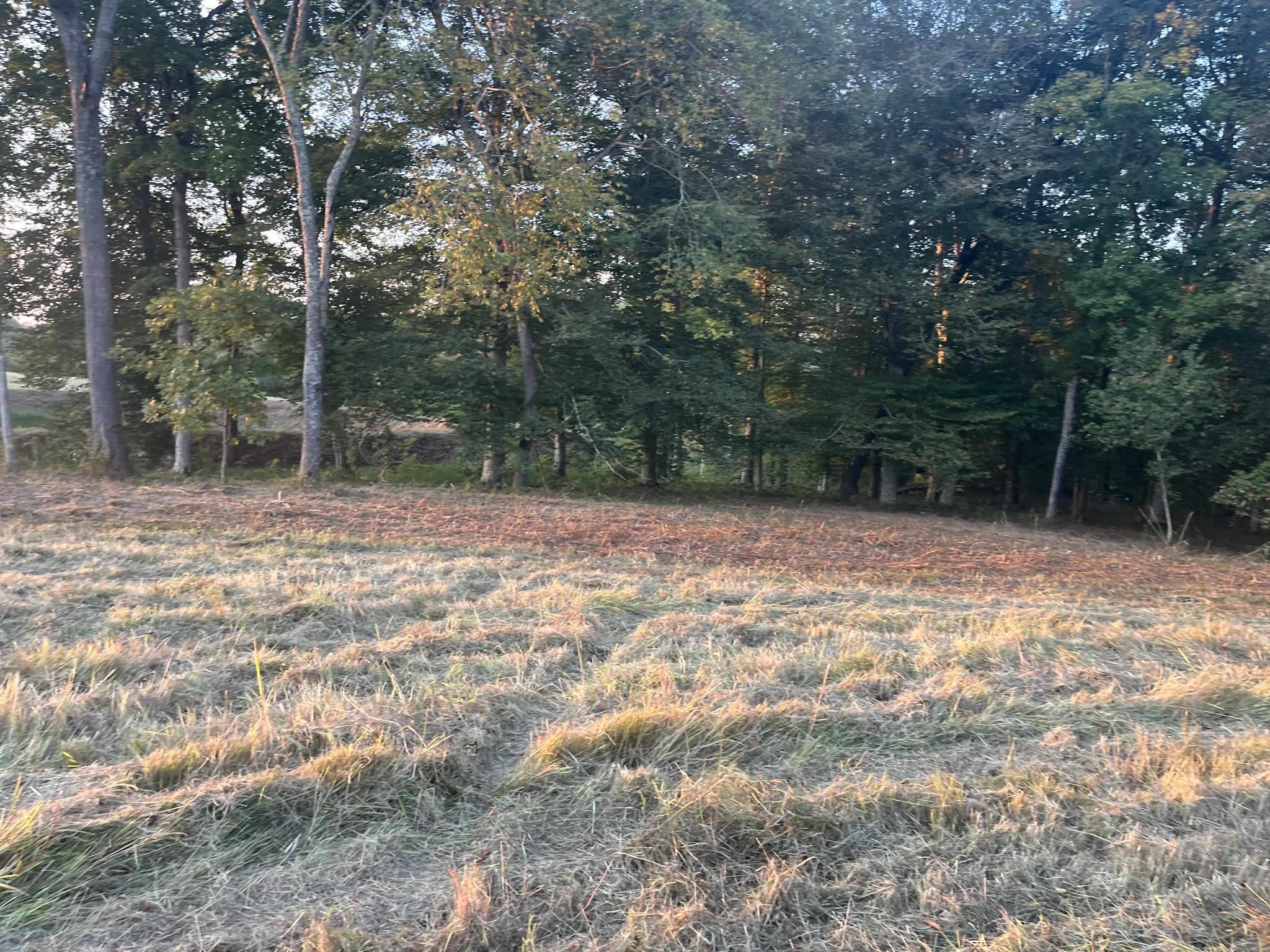 0 Stringfellow Road White Bluff, TN 37187 - Photo 25 of 38