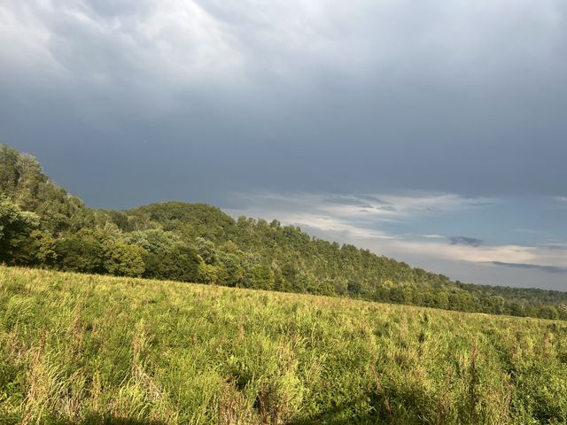 $1,020,000 | 0 Stringfellow Road, White Bluff, TN 37187